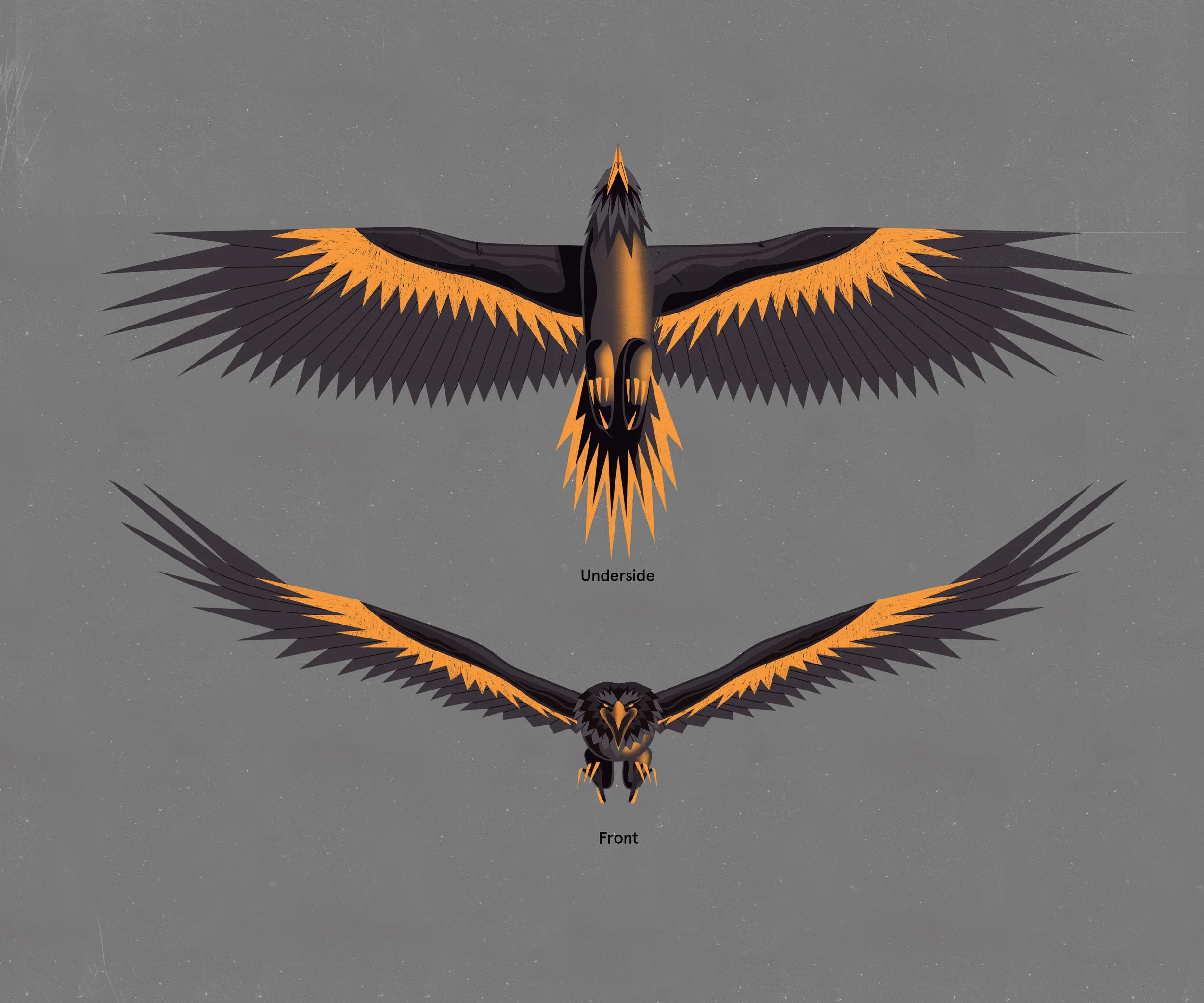 AdidasZNE3.0_EagleConcept_a02_LB.jpg