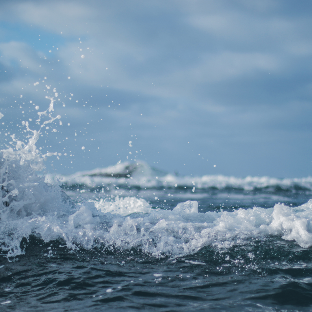 Recital 2025 Meet the Cast Post (11).png