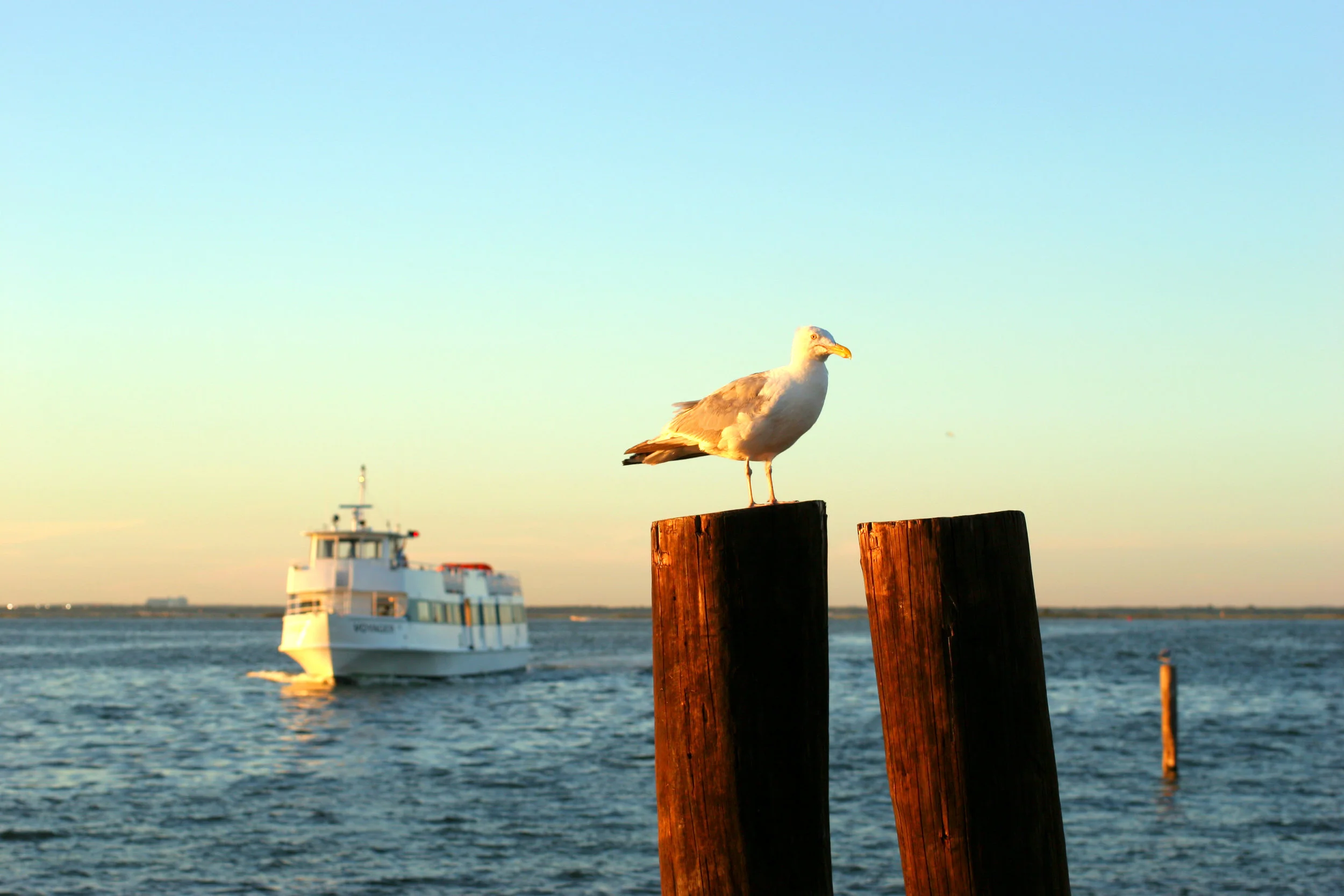 No longer a rarity, all-female crews have become the norm at Fire Island Ferries.