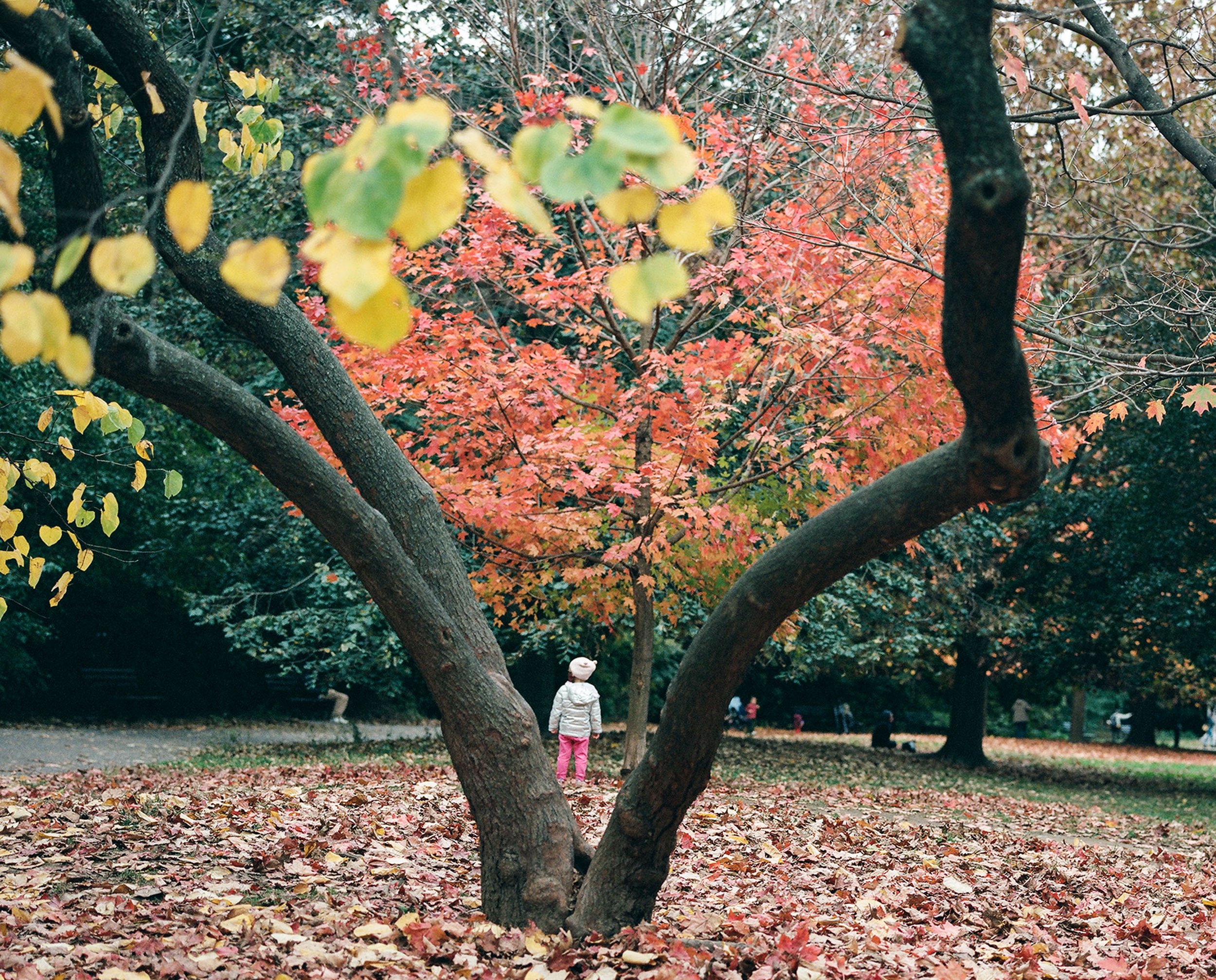 BROOKLYN_AshleyProspectPark_2020_OCT_25_24990001.jpg