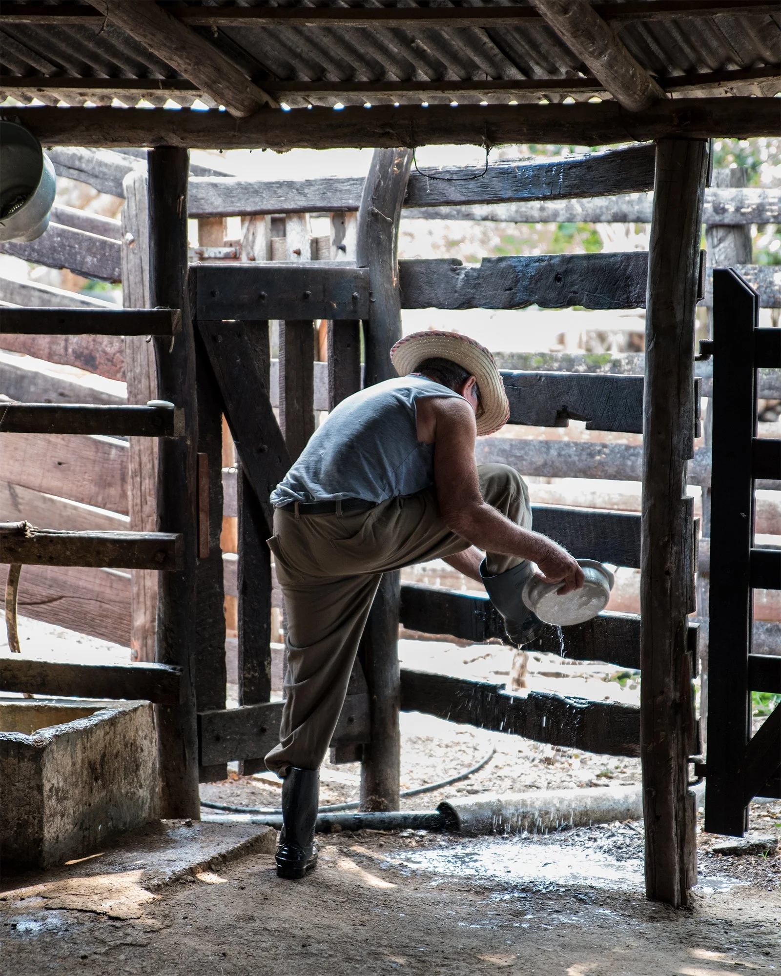 Camaguey_ManInBarn_APR2017_LGP_2868_8x10crop.jpg