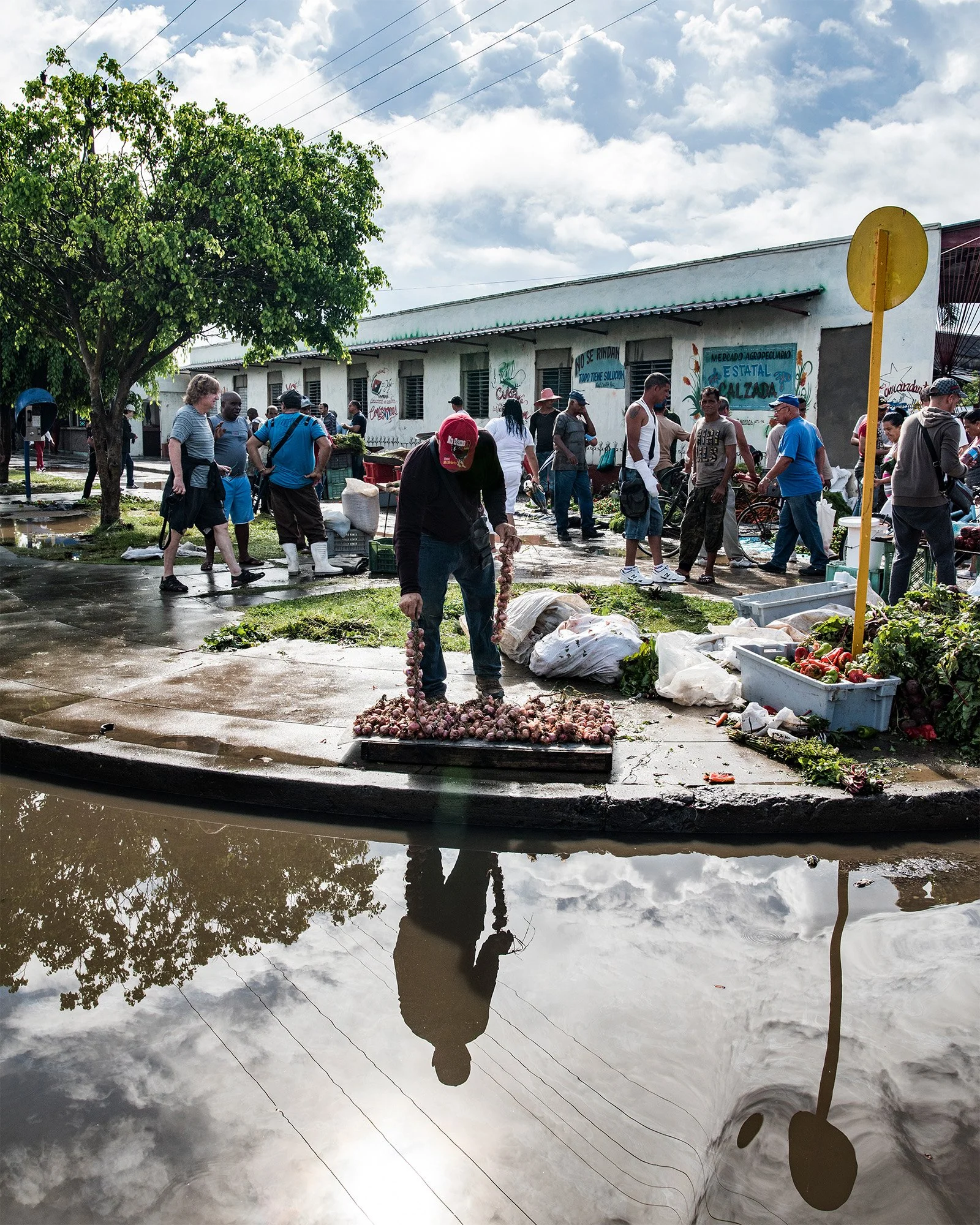 CIENFUEGOS_FarmersMarket_2018_APR_LGP_5775_8x10 copy.jpg
