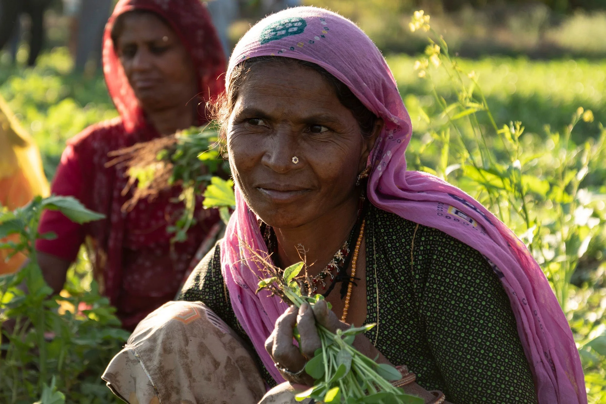 WEB_INDIA_FieldWorker_LGP_0765.jpg