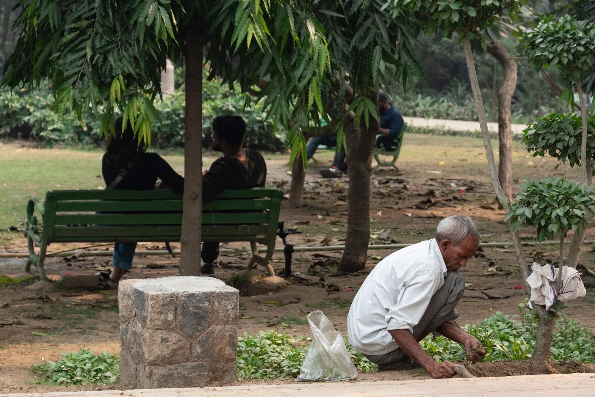 WEB_INDIA_Landscaper_LGP_0114.jpg
