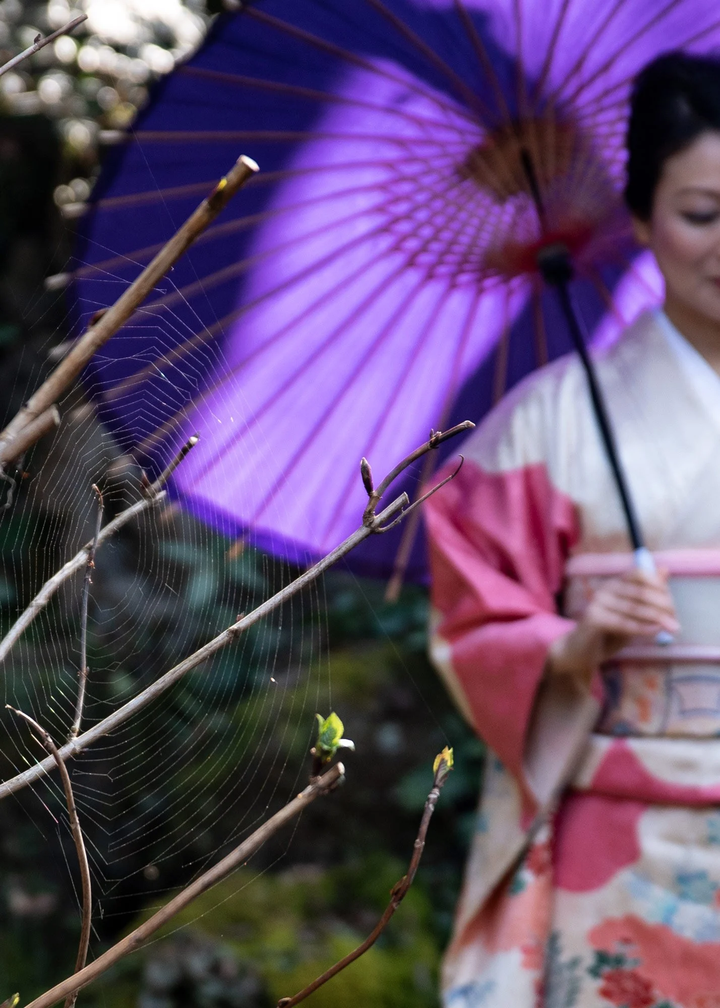 WEB_KYOTO_GardenWeb_LGP_2745.jpg