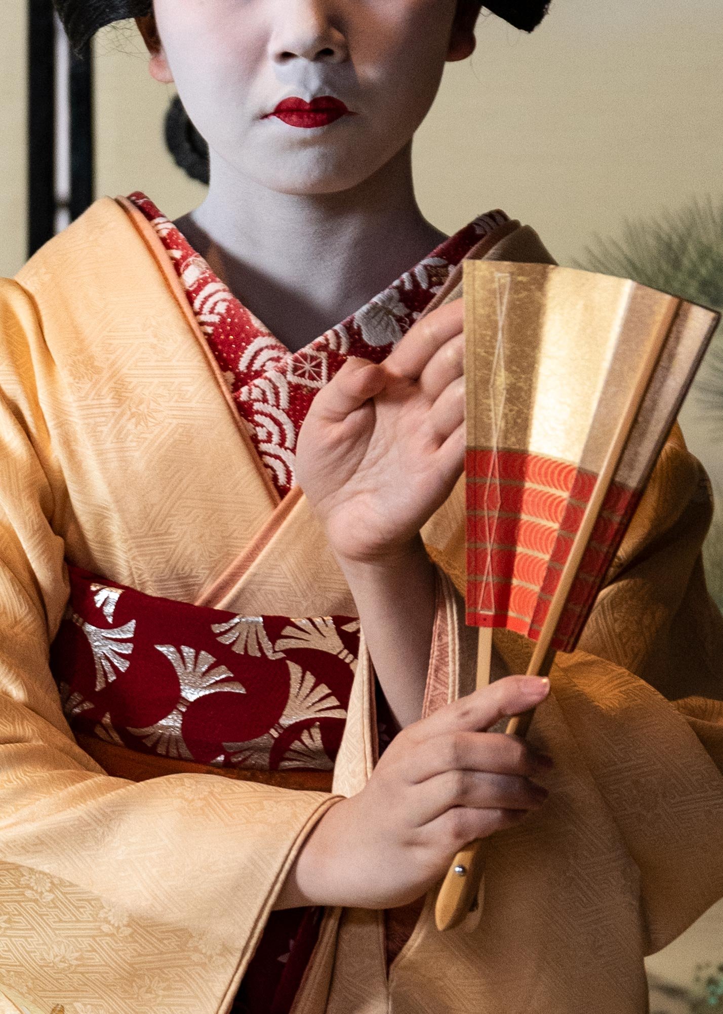 WEB_KYOTO_Maiko_LGP_2446.jpg