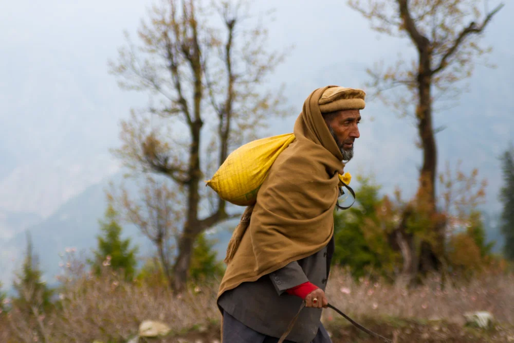 Pakistan-13.jpg
