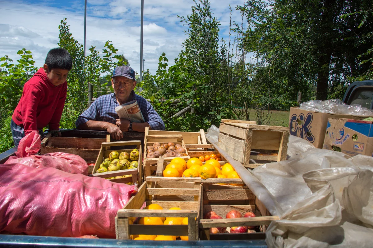 The family produces almost all of their food in their farm, but usually they do not have enough to sell in the markets like other families that survive off their proceeds.