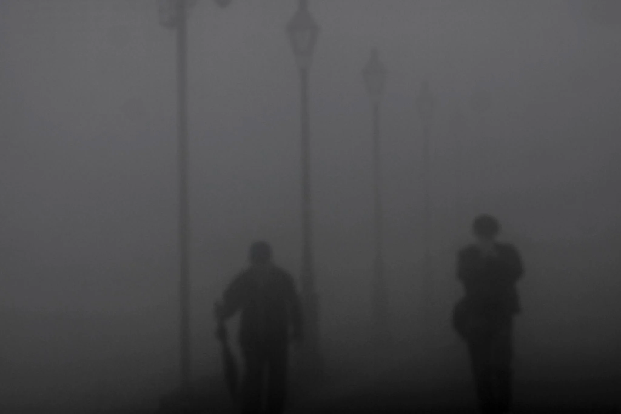 Foggy Stroll