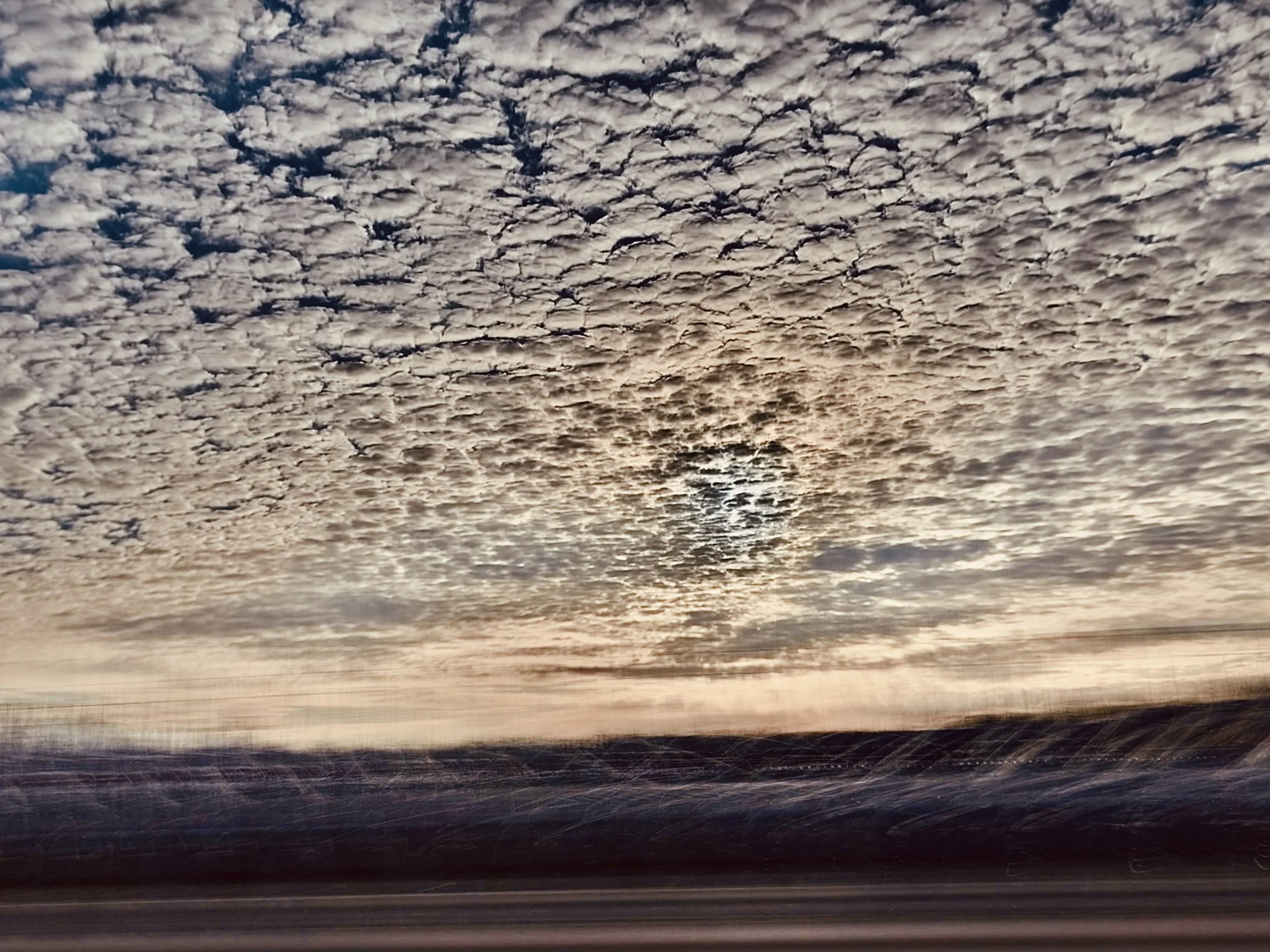 IMG_3608.jpg