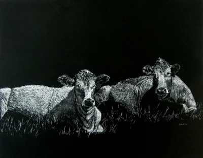 philp-heifers-web.jpg