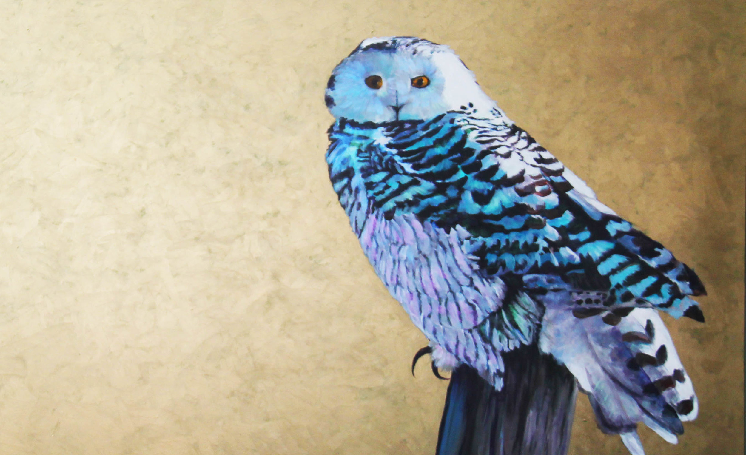 snowy owl detail.jpg