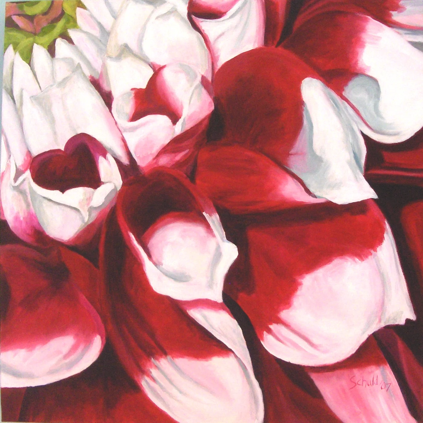 red dahlia 2007.jpg