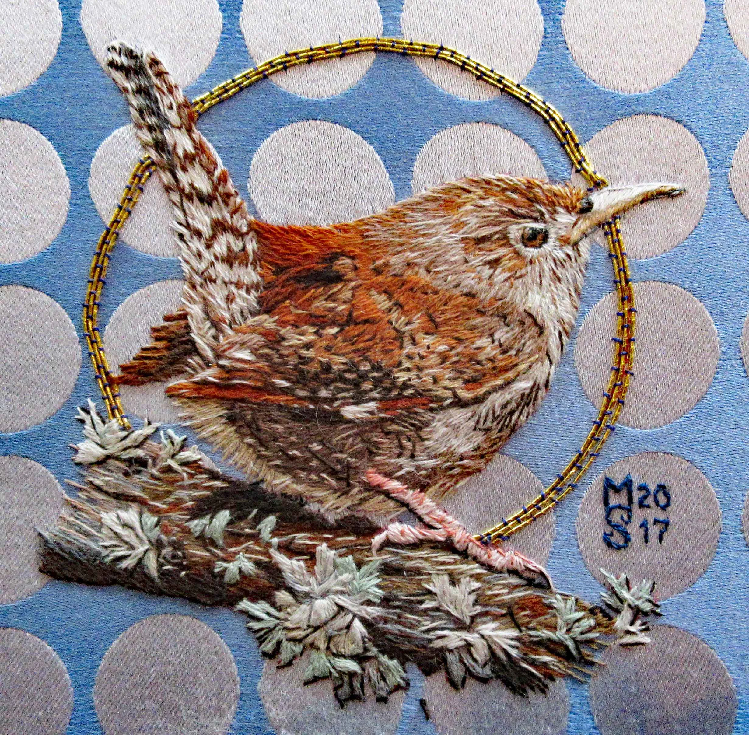 wren 11 thumb.jpg