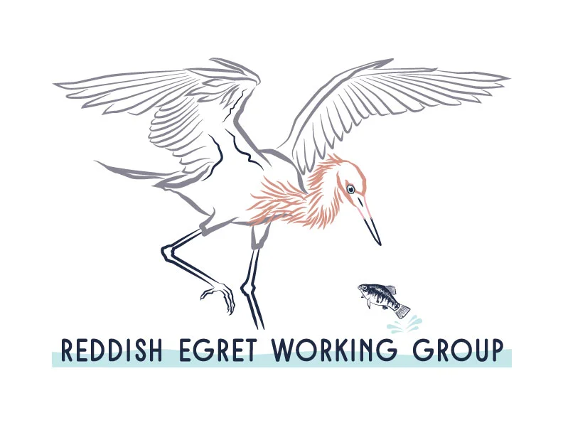Reddish Egret Working Group Logo