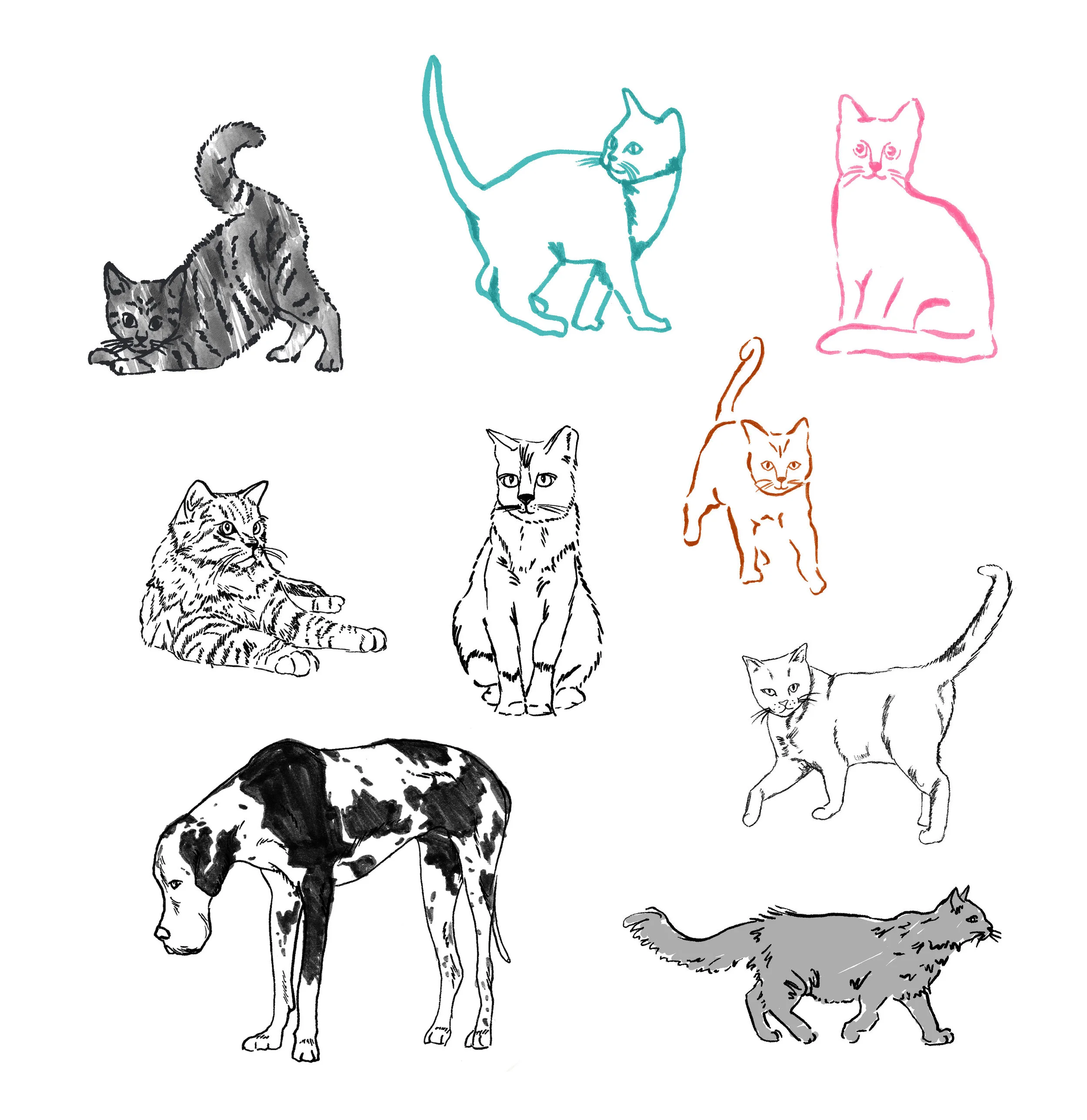 cats copy.jpg