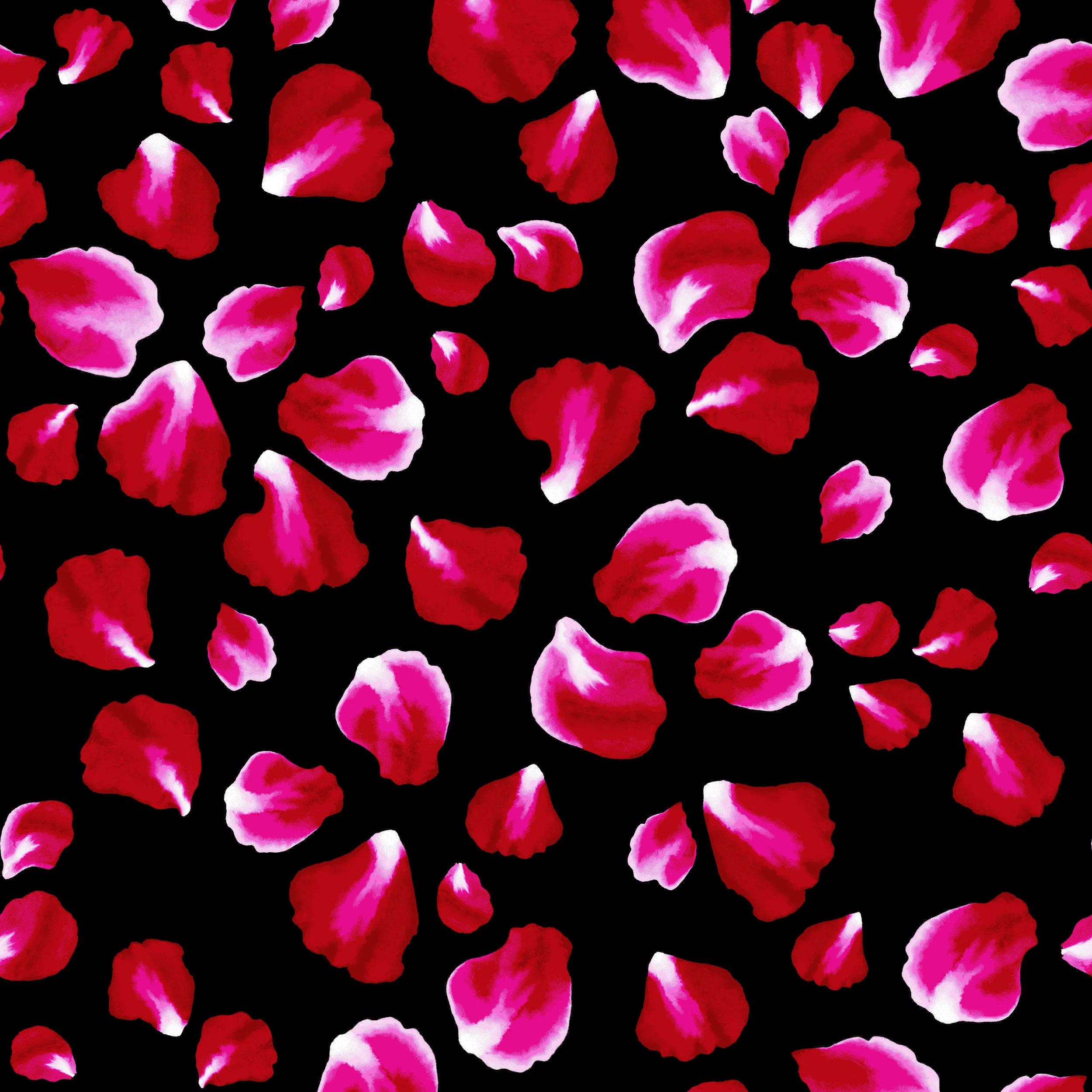 petal.jpg