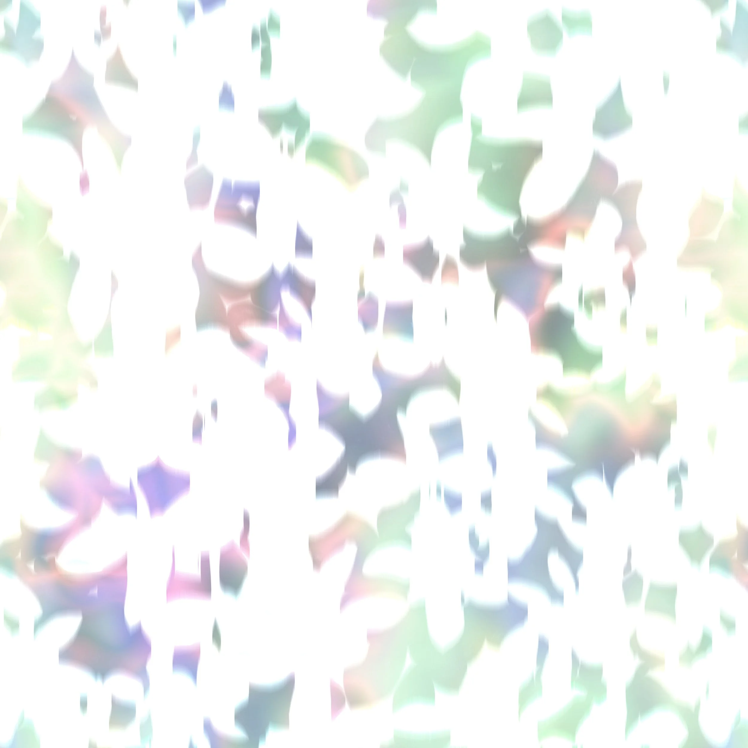 SA079.jpg
