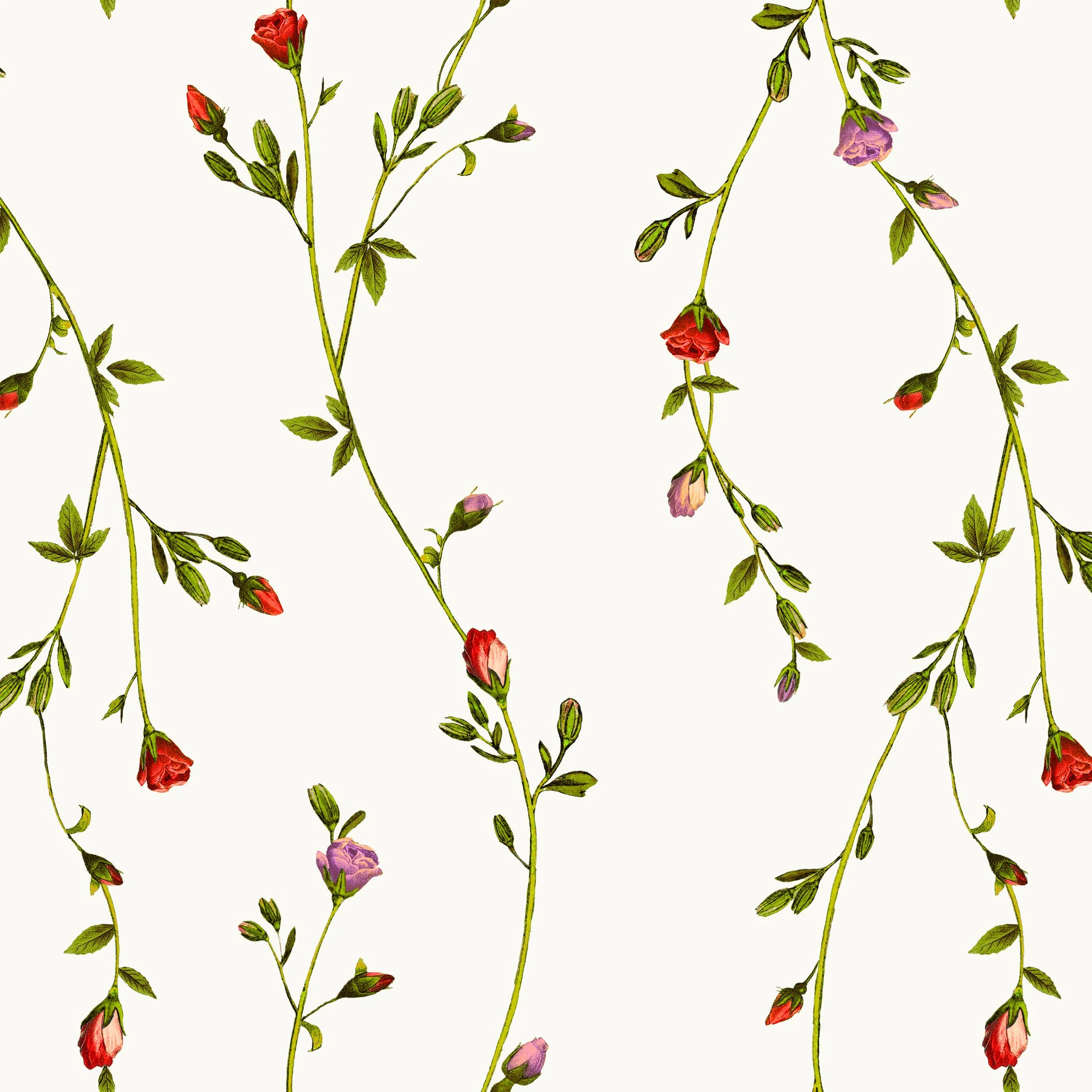 trellis.jpg