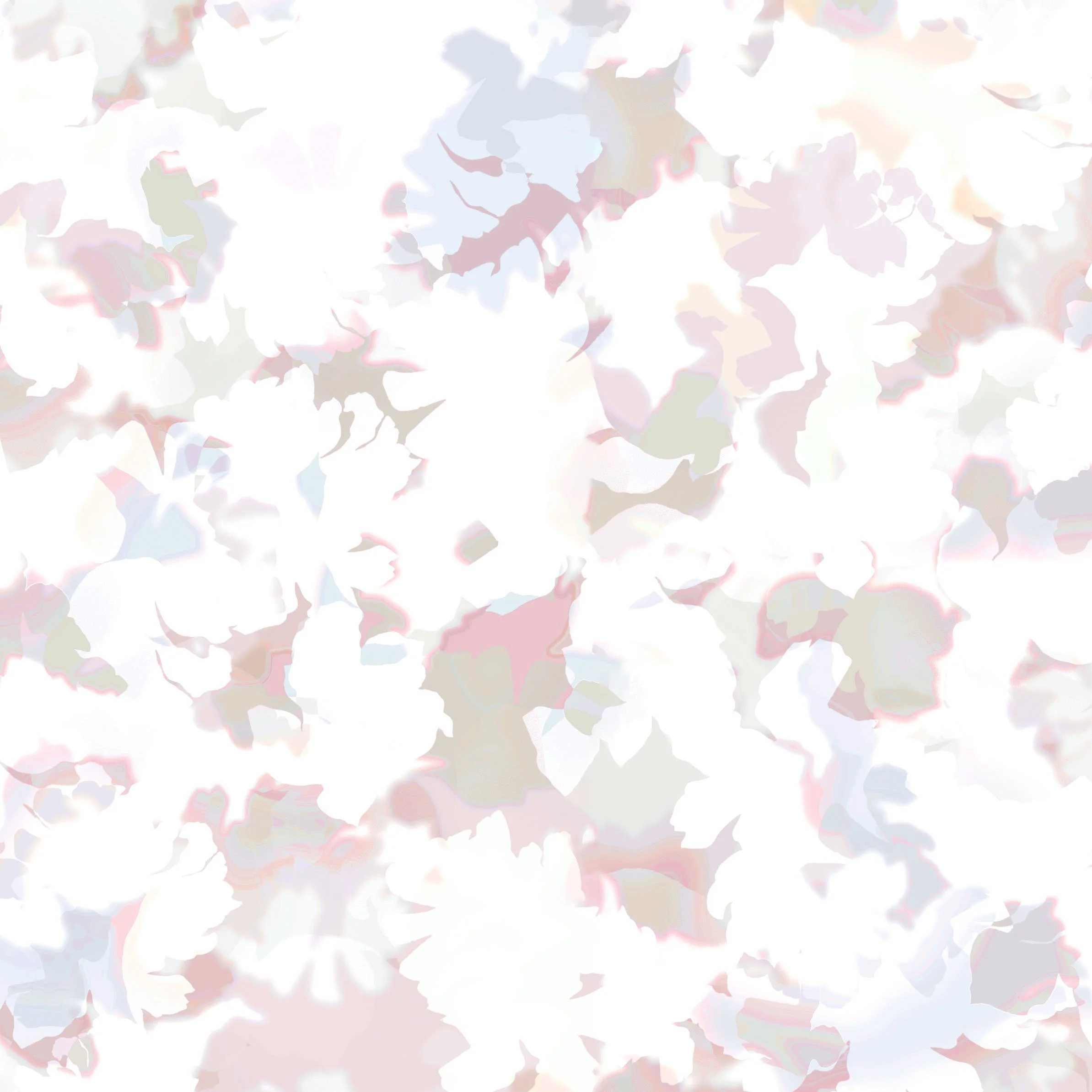 sakura.jpg