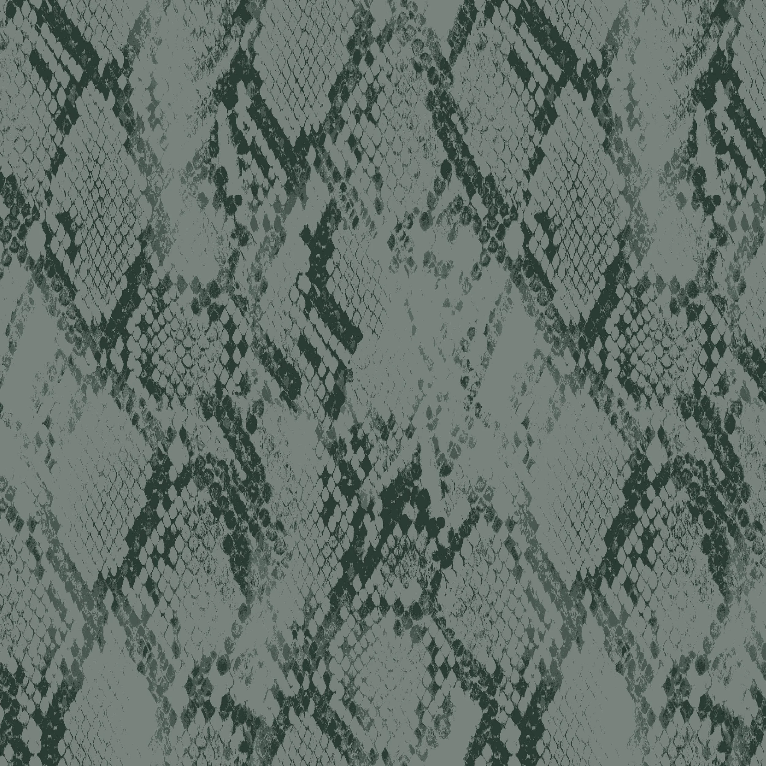 cactus snake.jpg