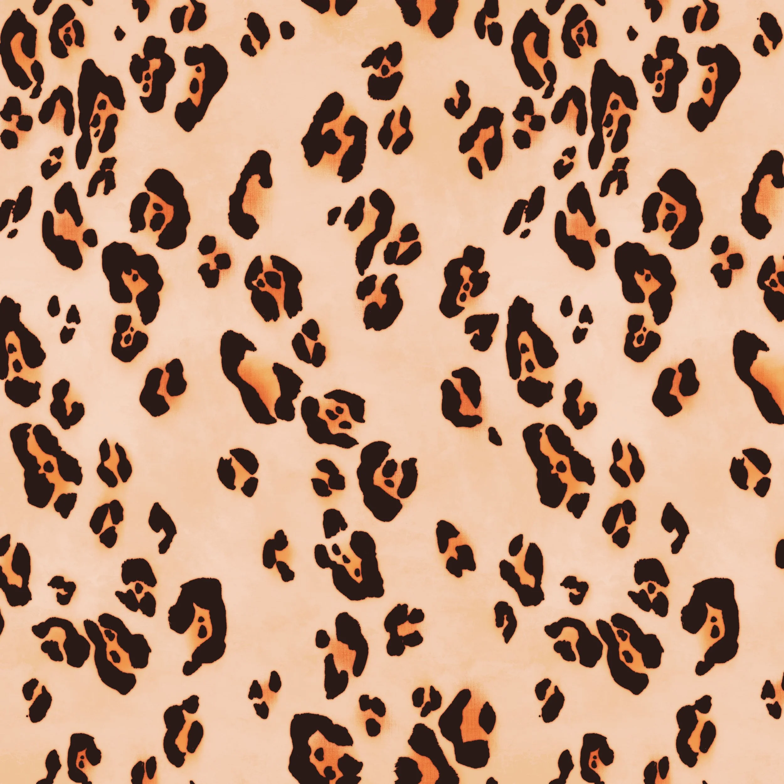 desert leopard.jpg