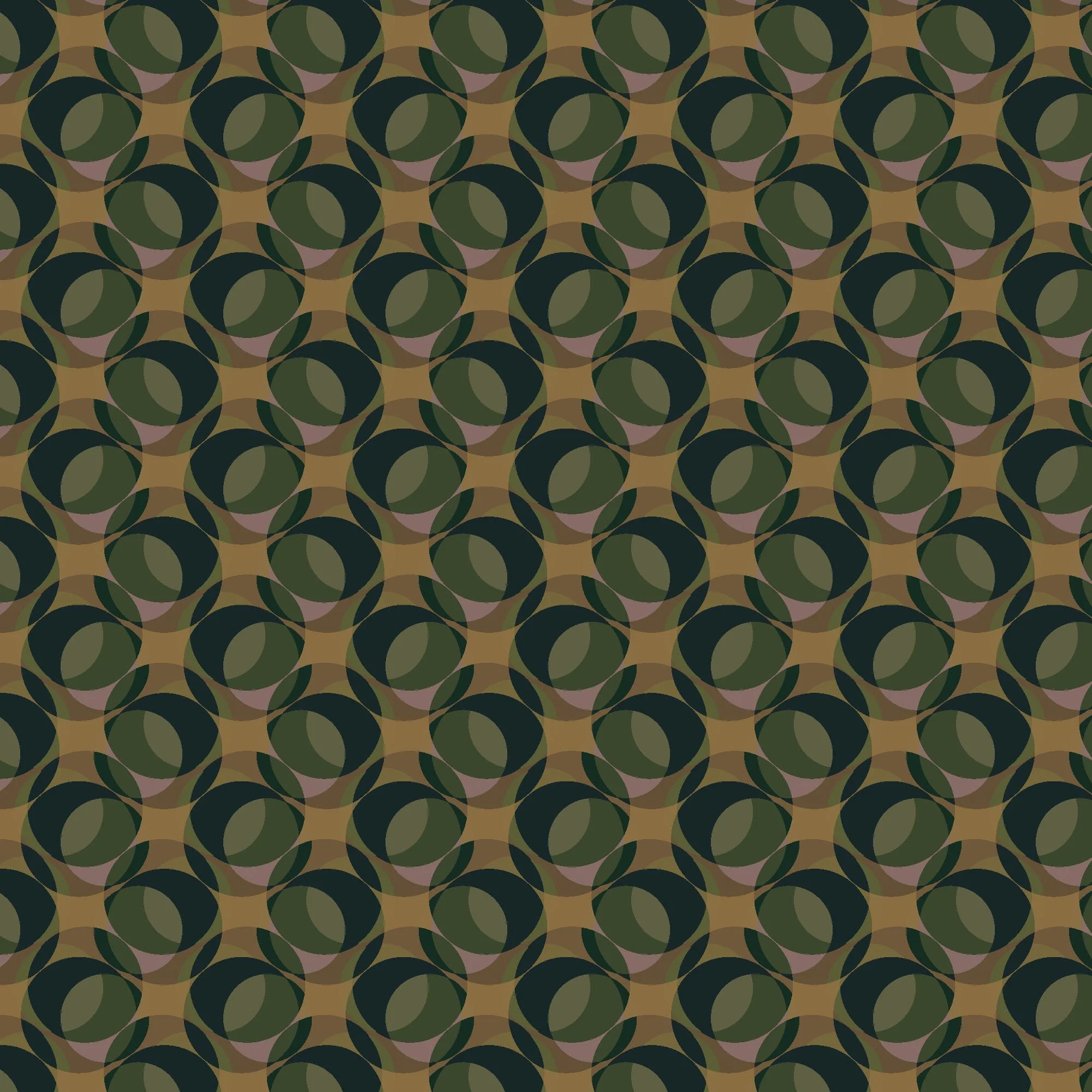 SA097.jpg