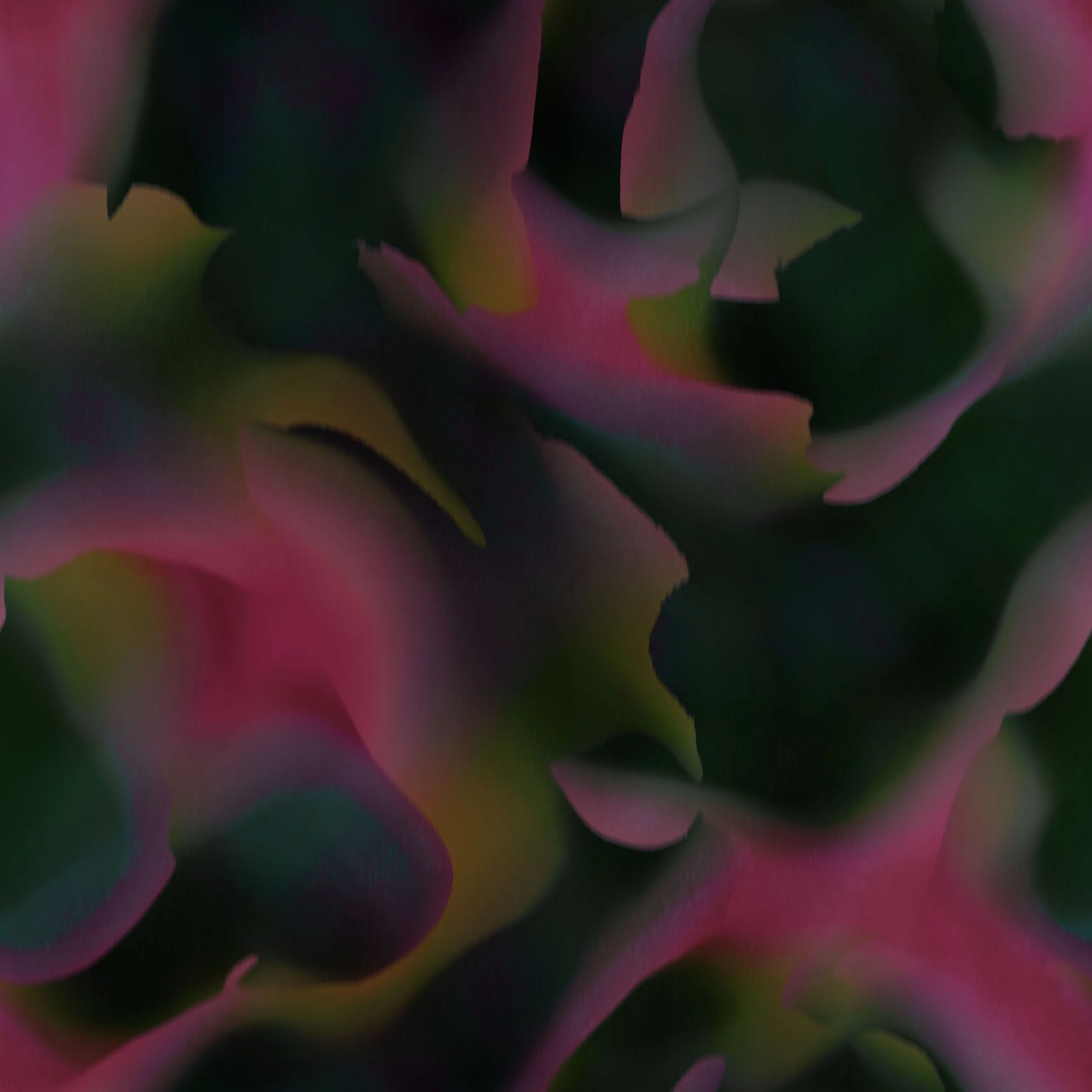 roses.jpg