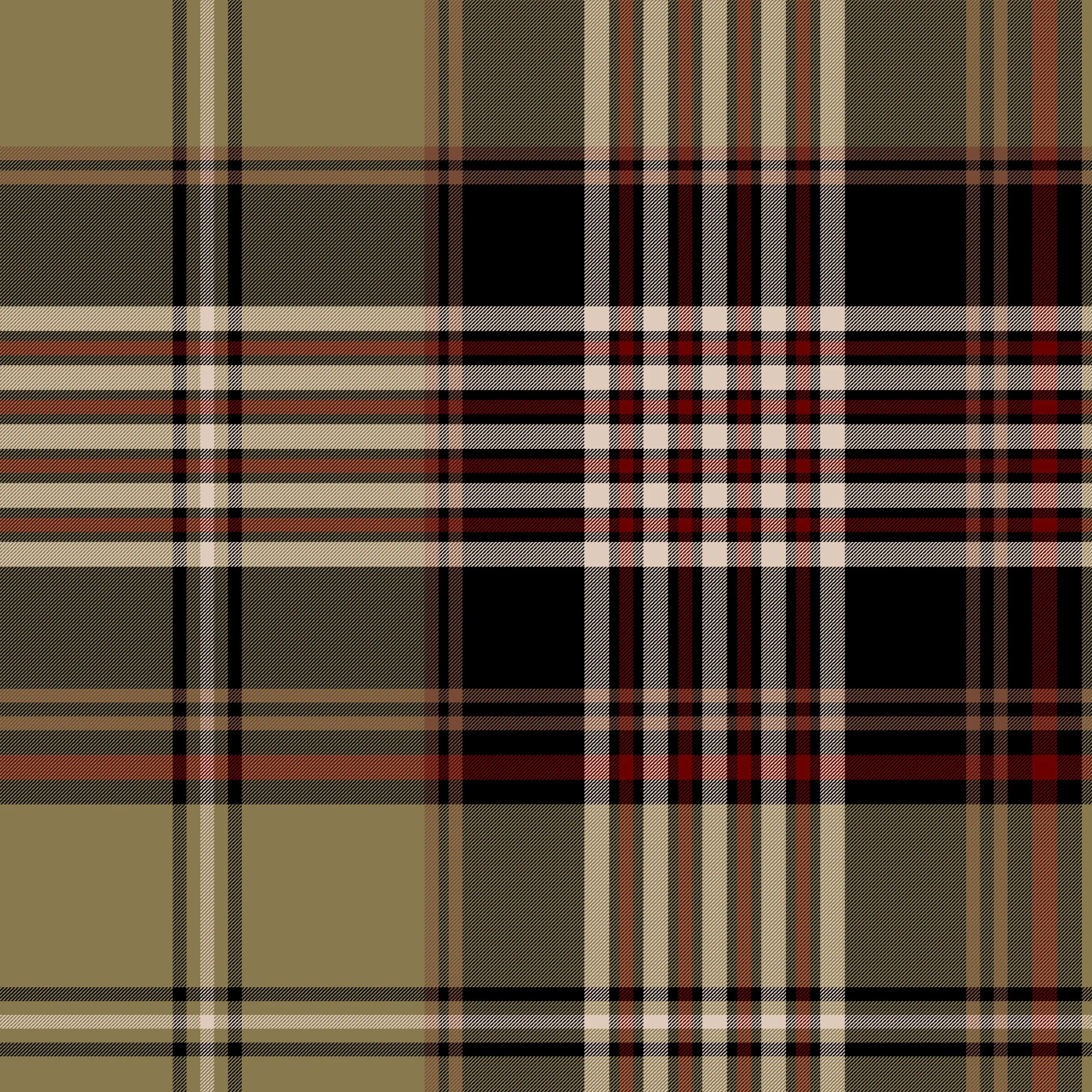 plaid1.jpg
