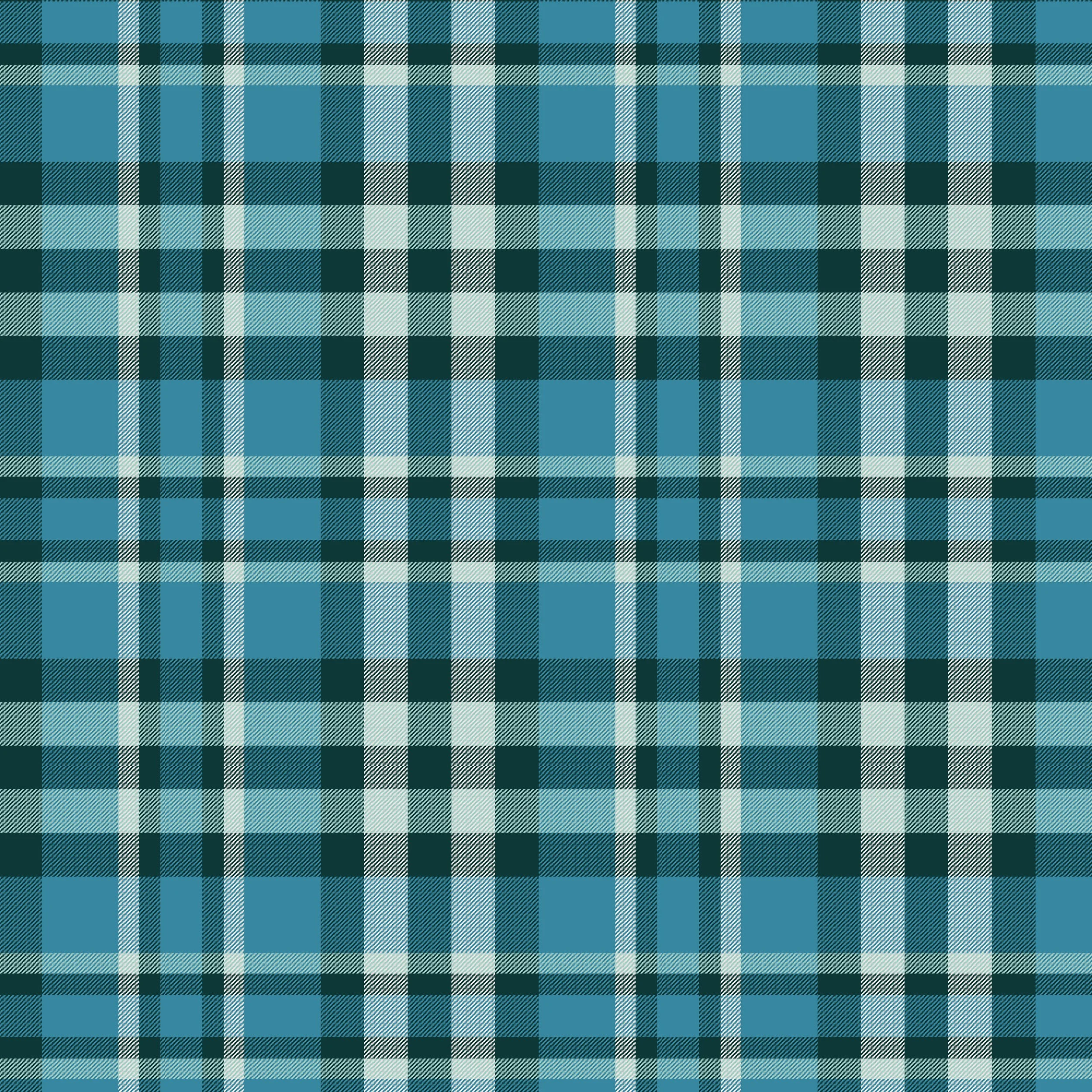 plaid2.jpg