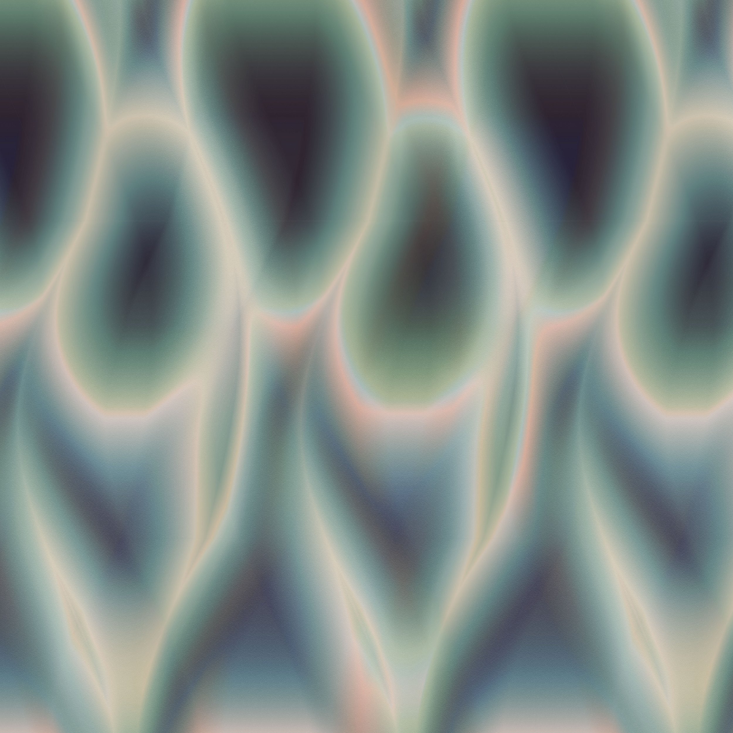 peacock.jpg