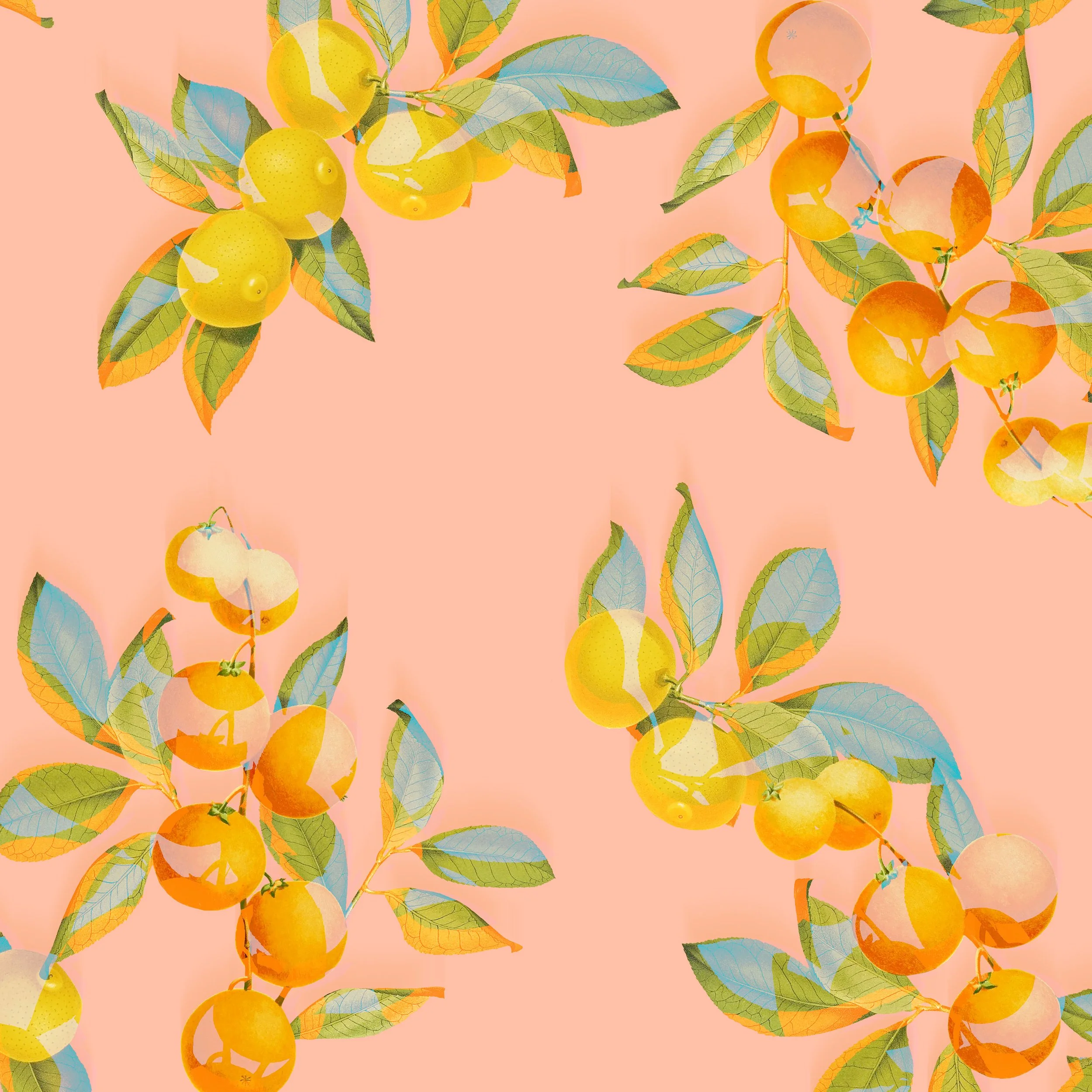 oranges.jpg