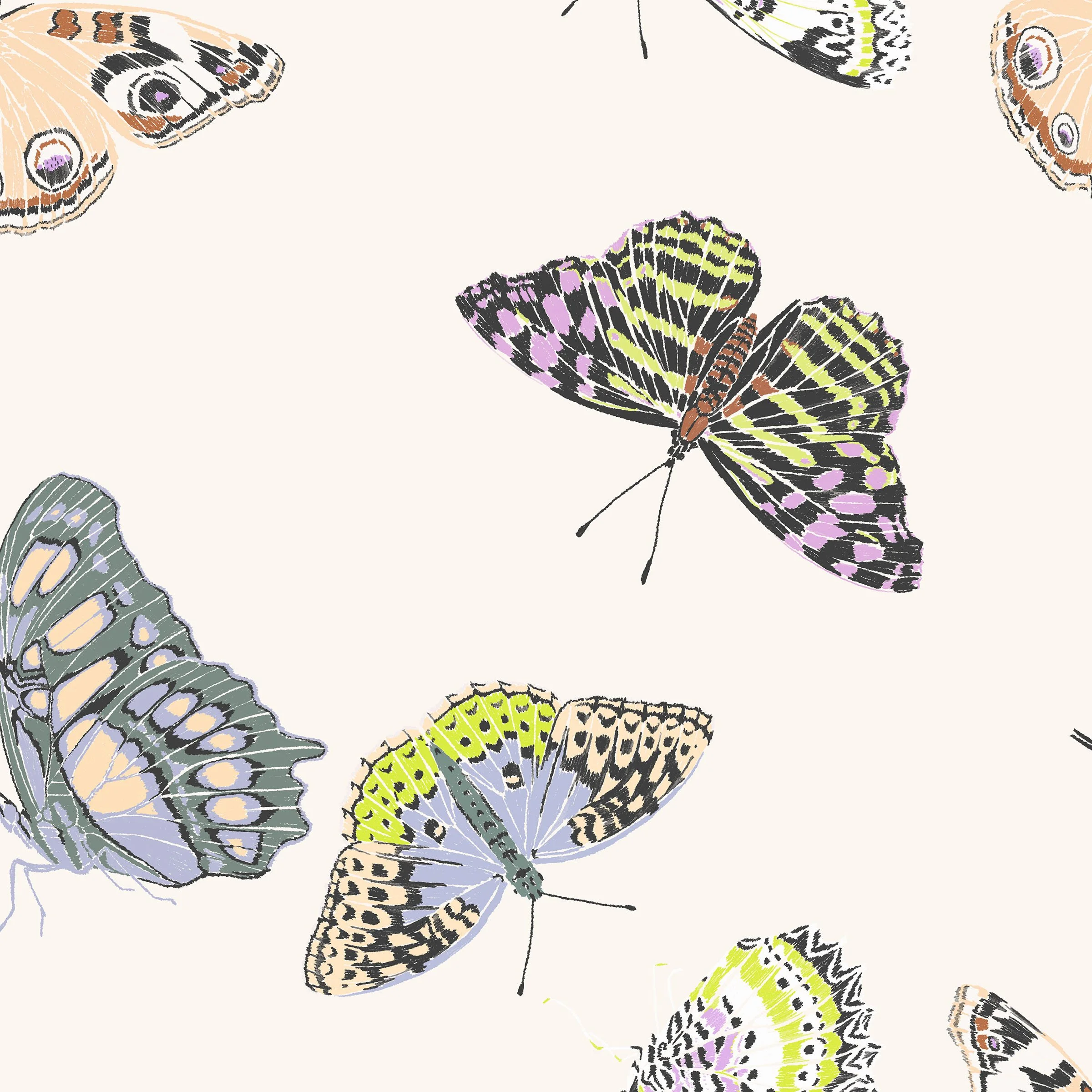 butterflies.jpg