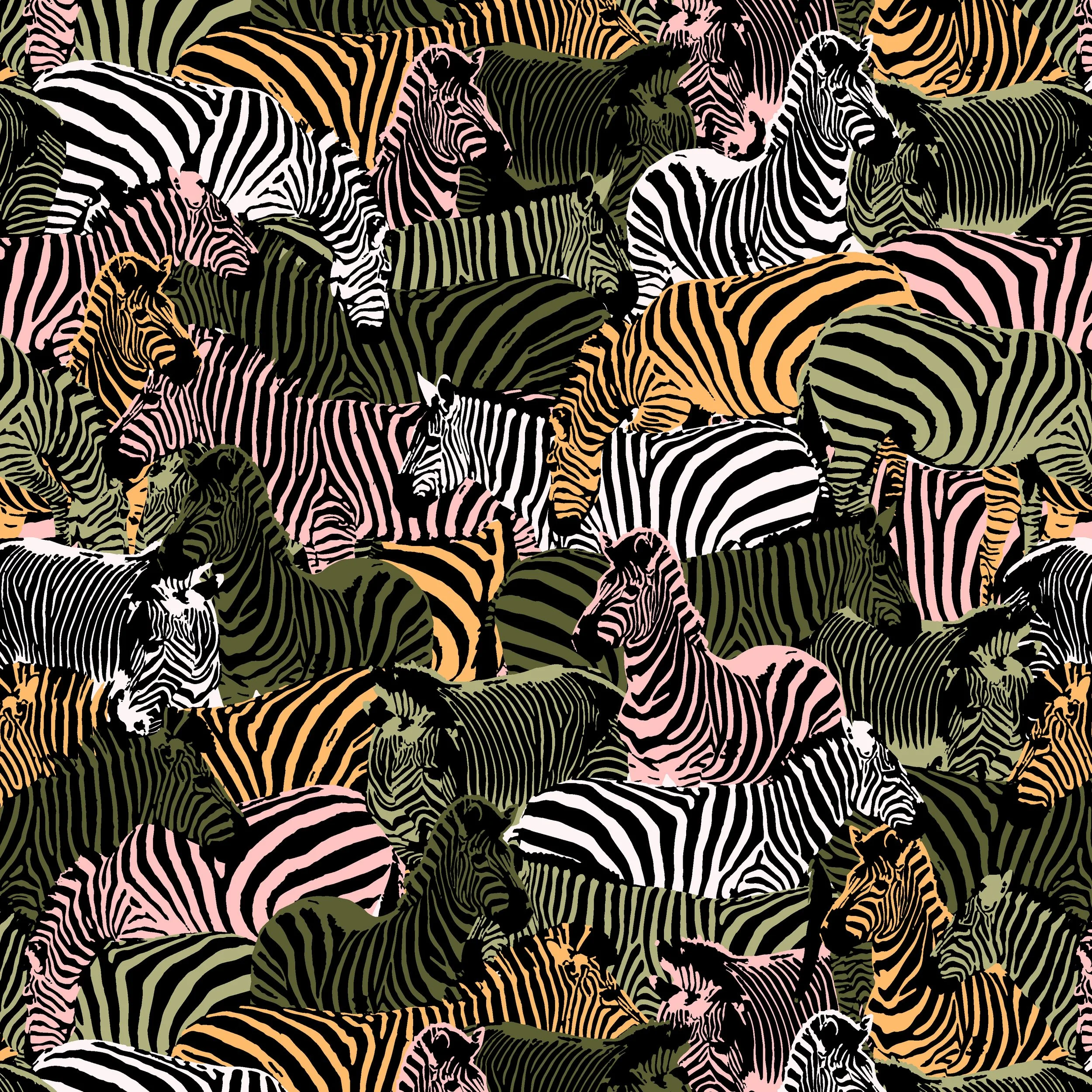 zebras.jpg