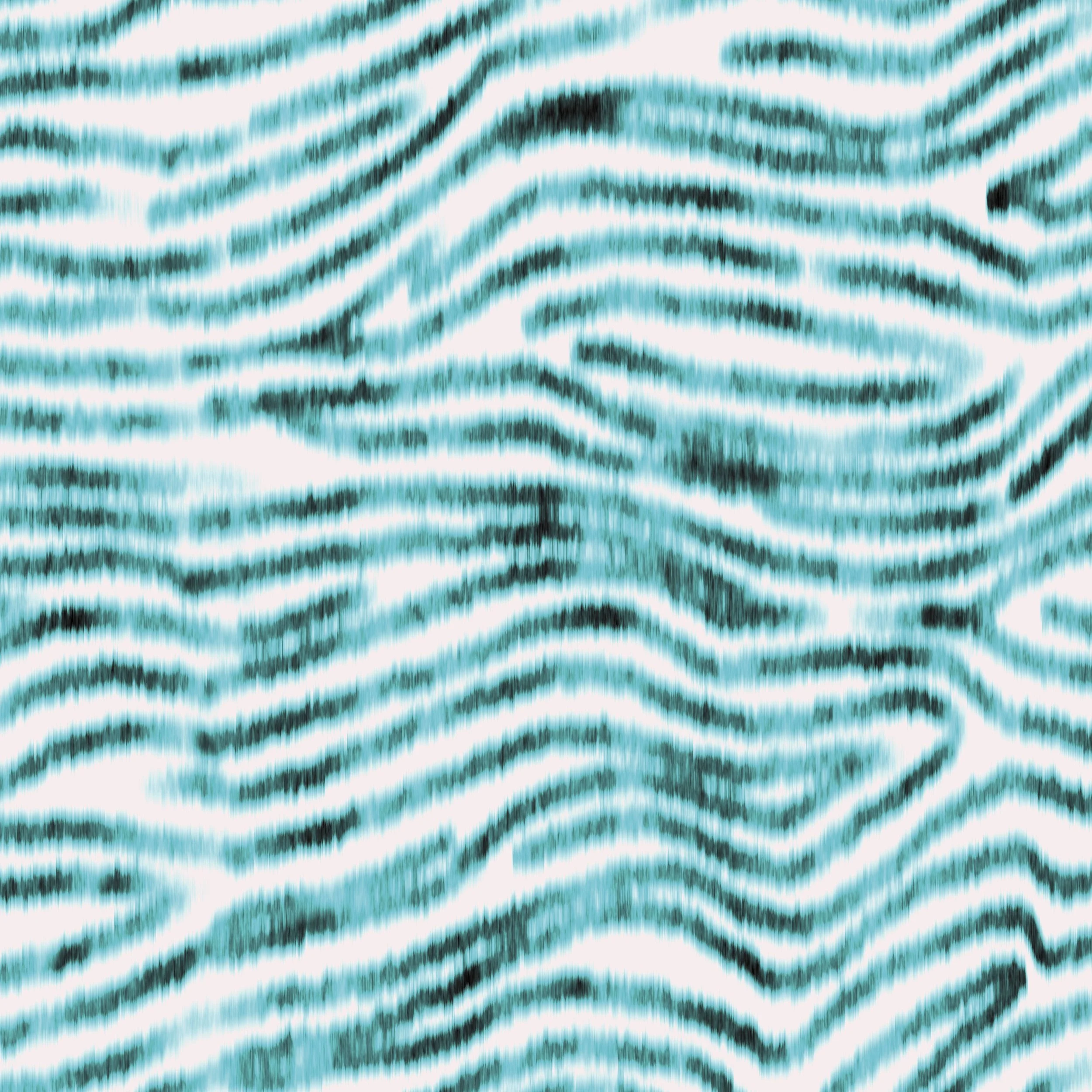 blur zebra.jpg