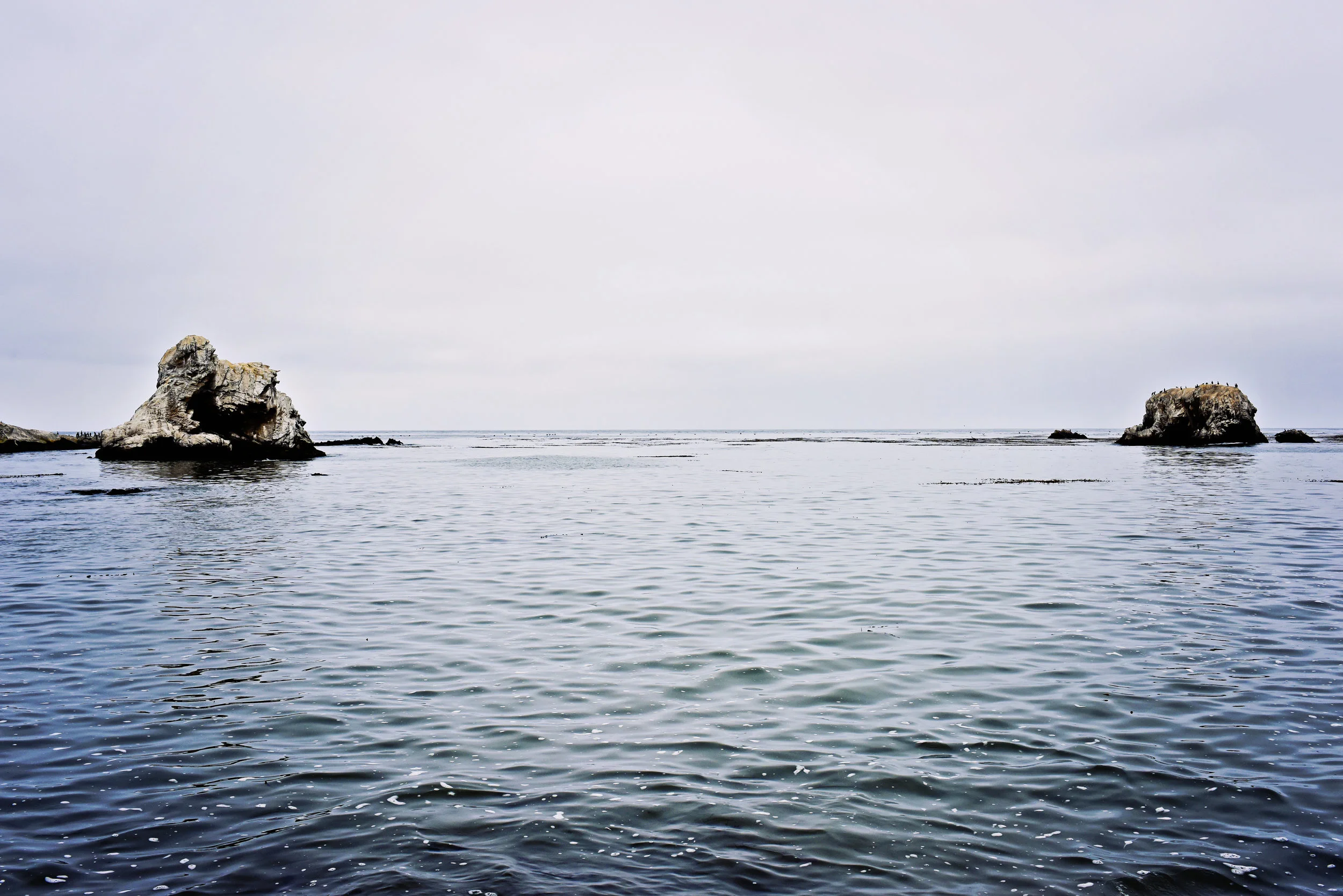 landscape_014.jpg