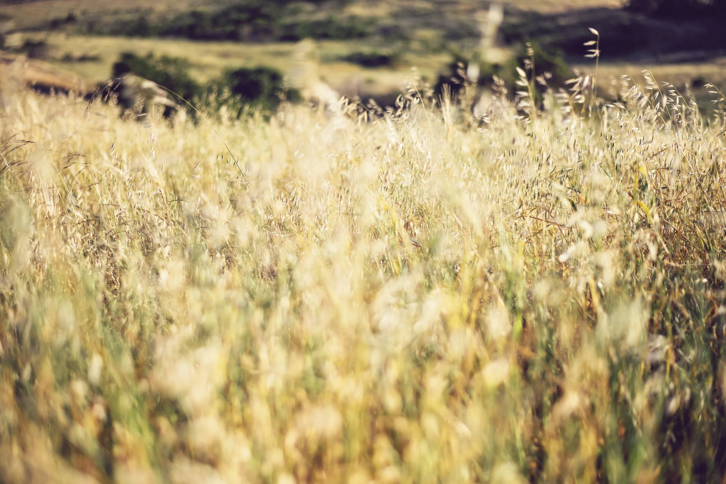 landscape_064.jpg