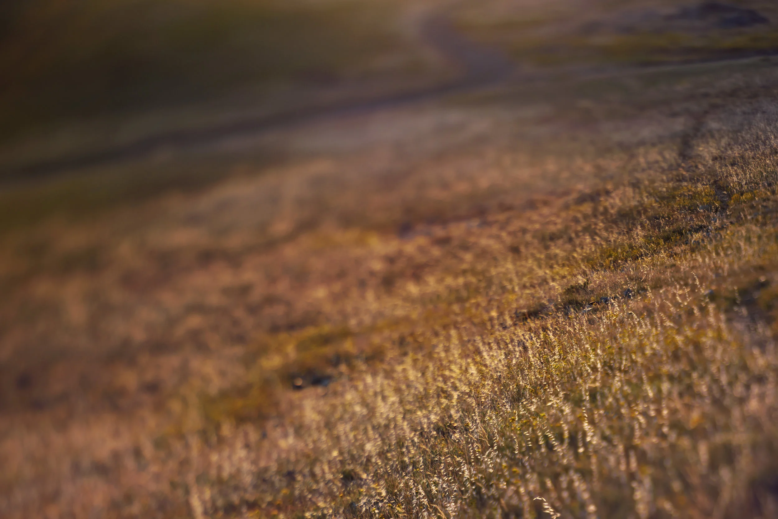 landscape_068.jpg