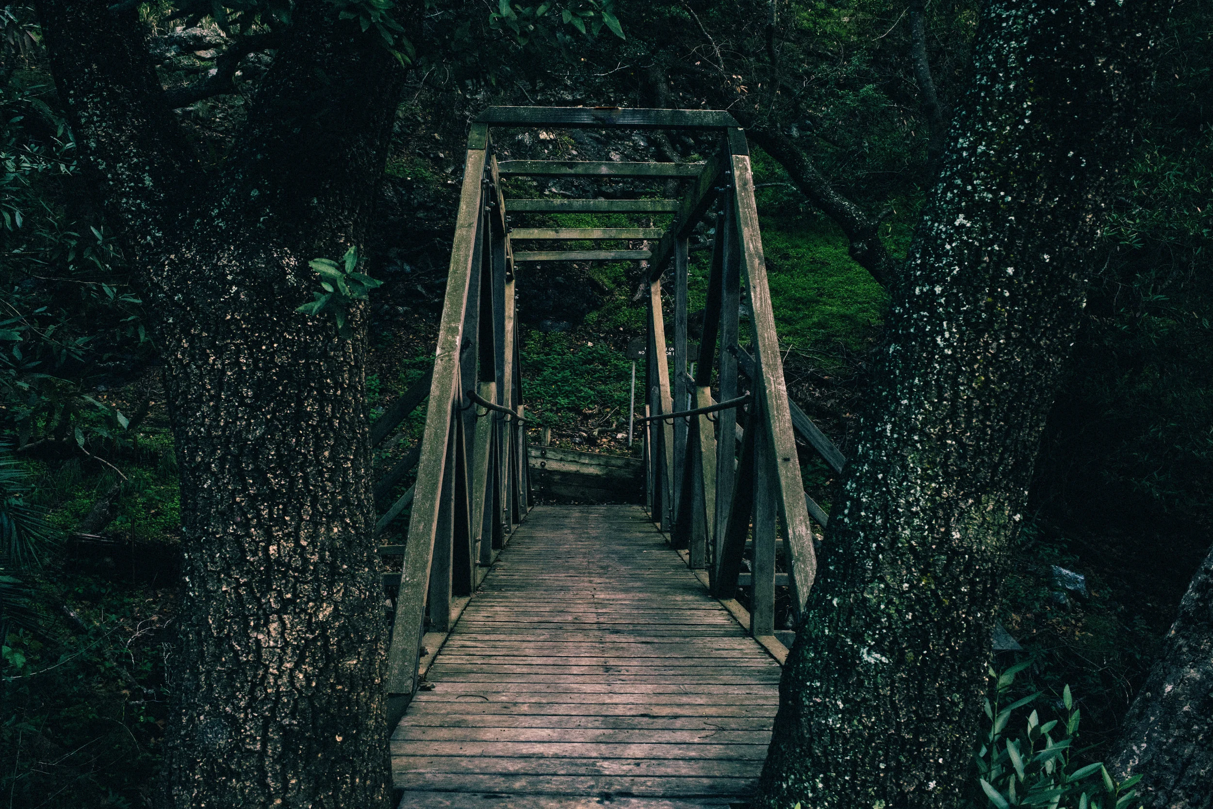 landscape_076.jpg