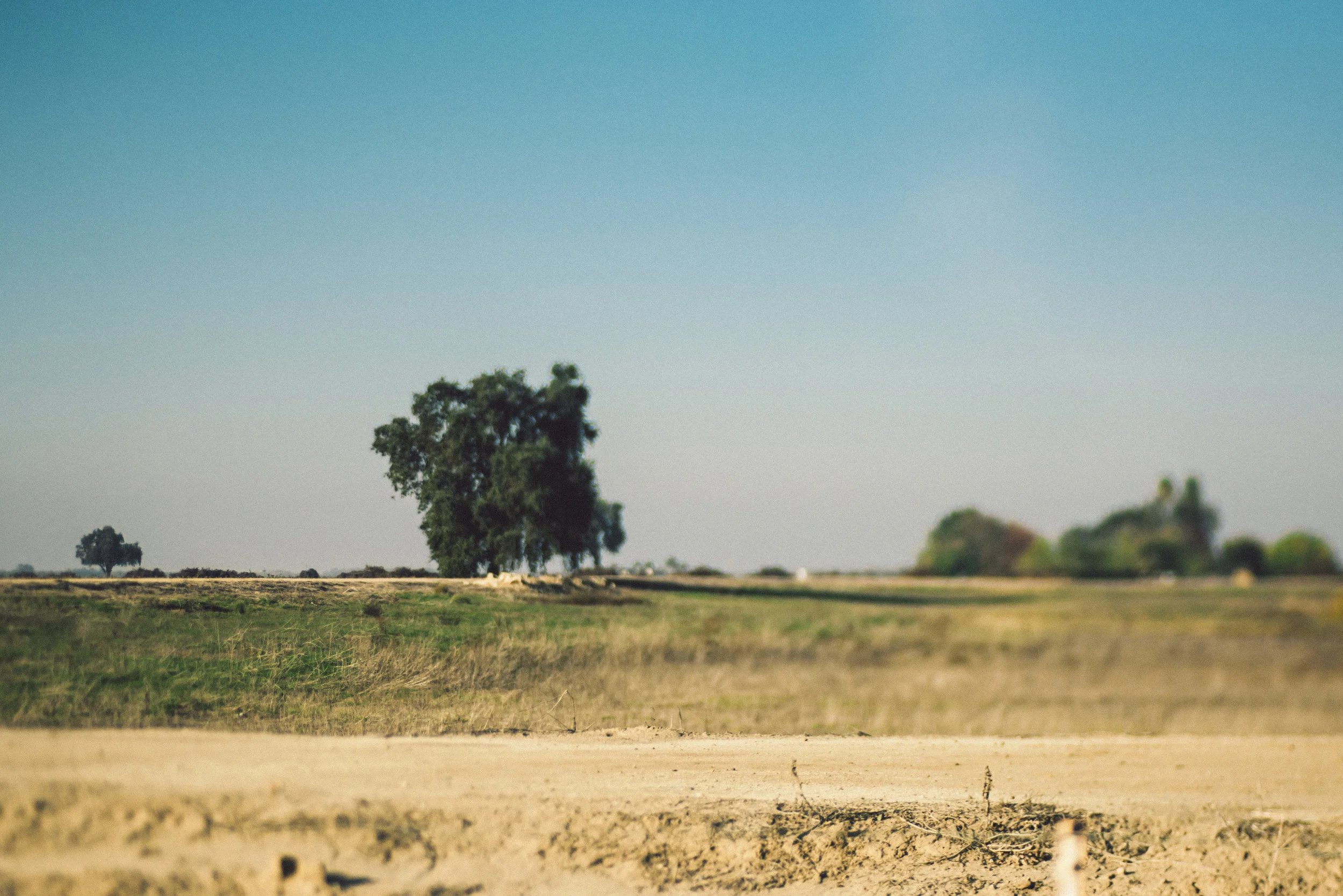 landscape_085.jpg