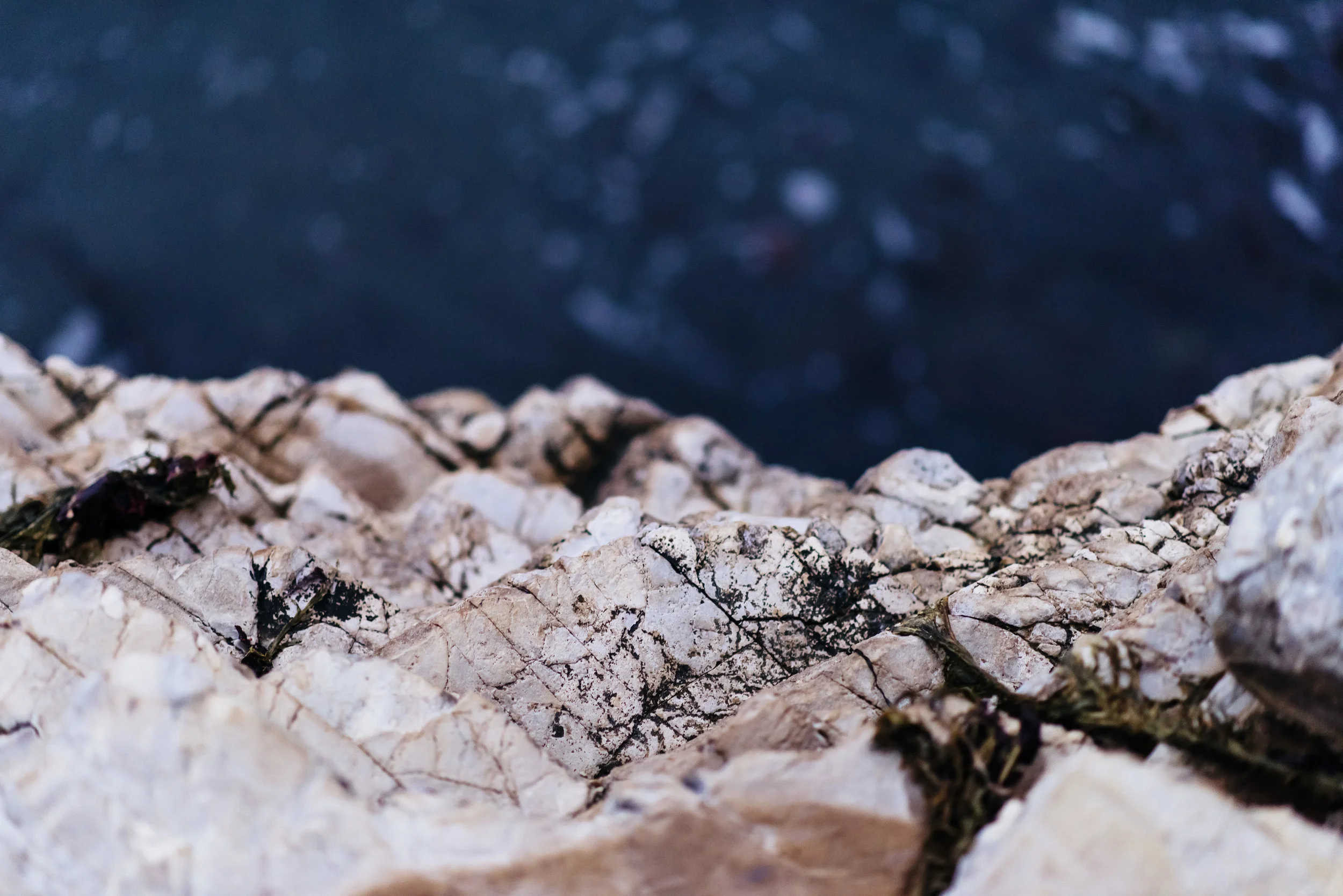081916_0190 copy.jpg