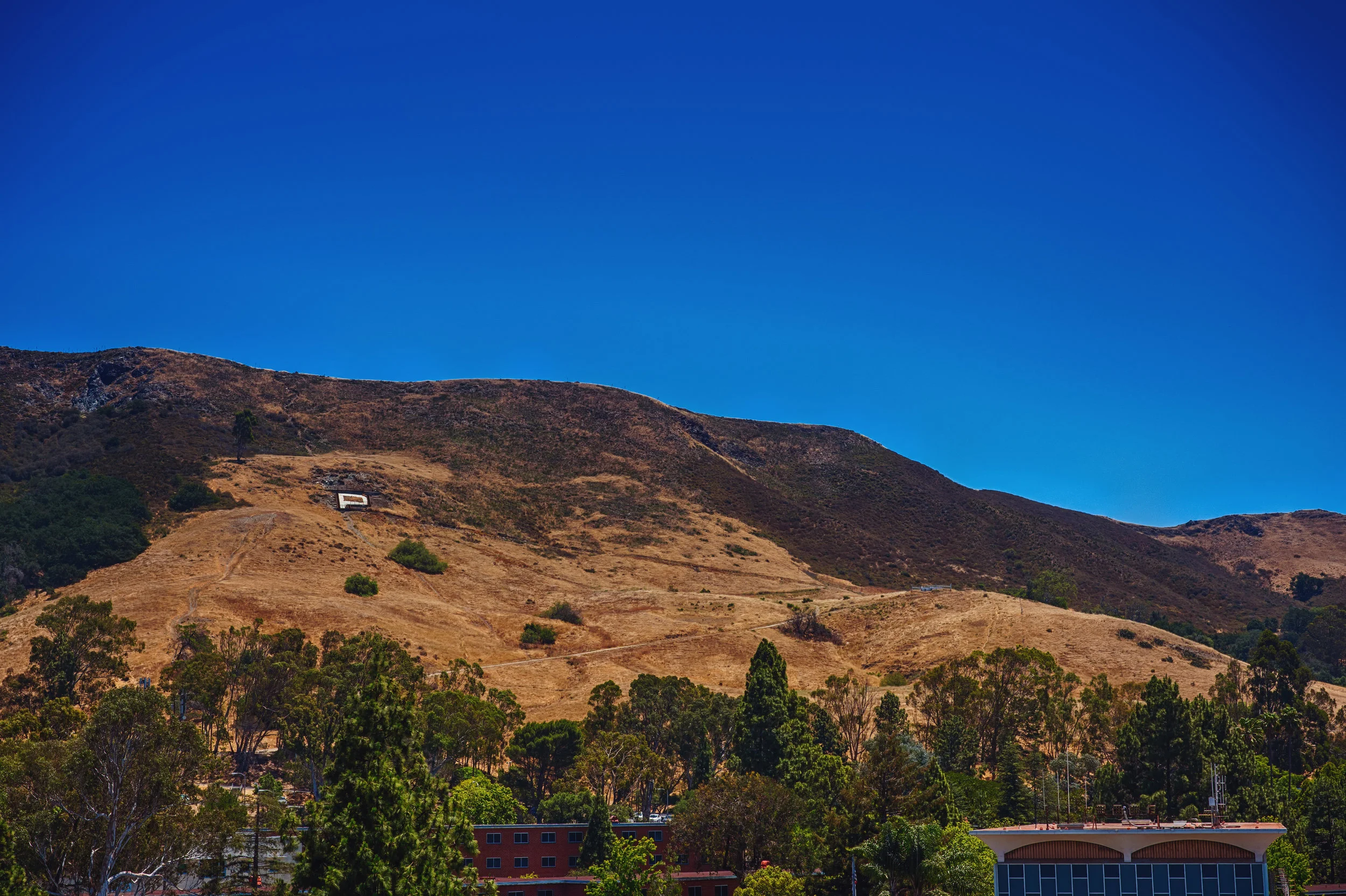 landscape_042.jpg
