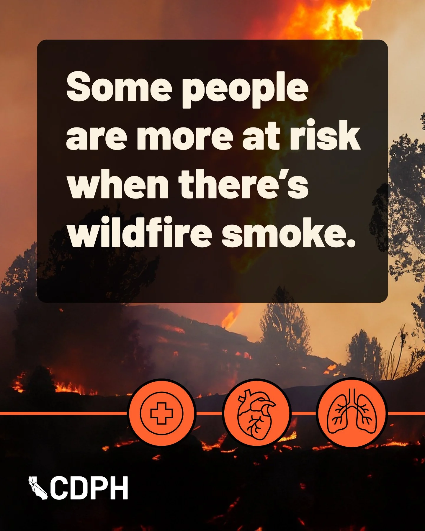 25-CDPHC-FIRE-0409_MetaAds_R7_Concept4_Ad1_01.jpg