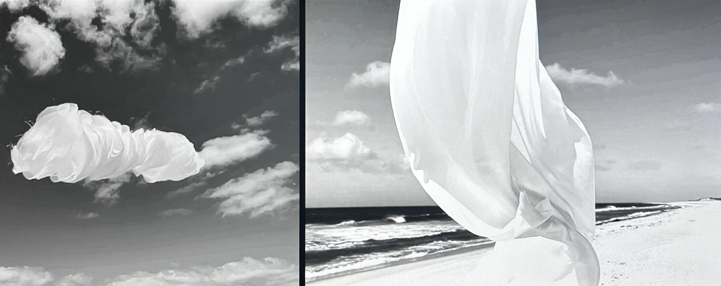 across (detail) , mp4 video, 4 mins 46 secs, 2025