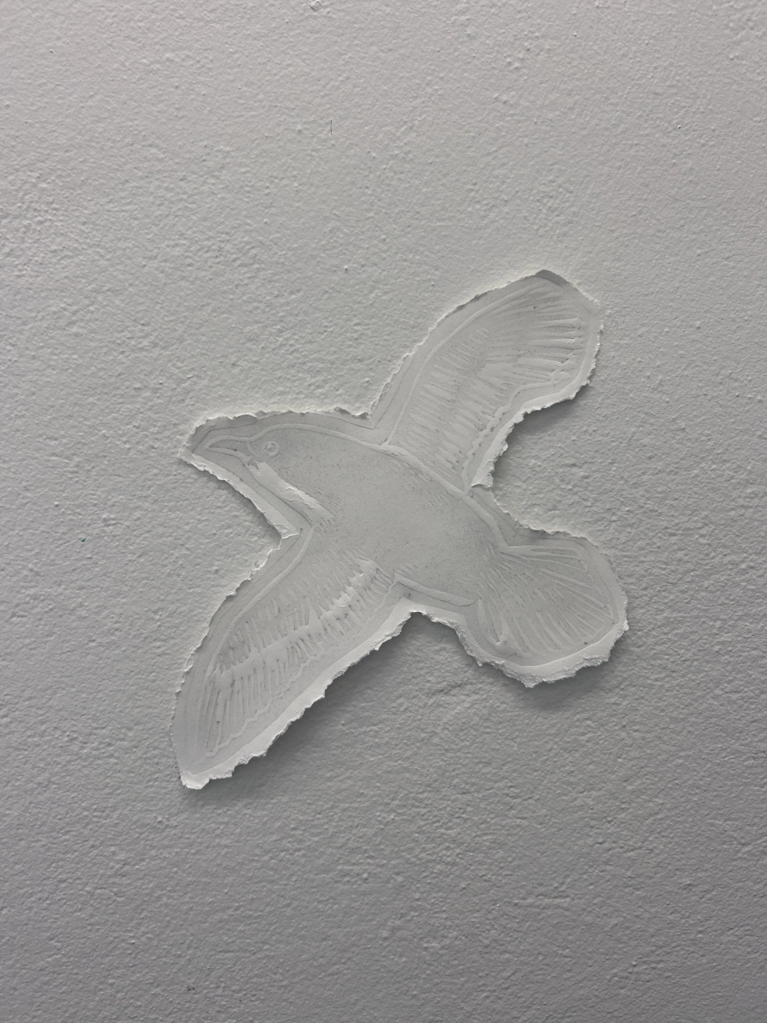 AiR exhibition, 2026, King Island Gallery, Currie