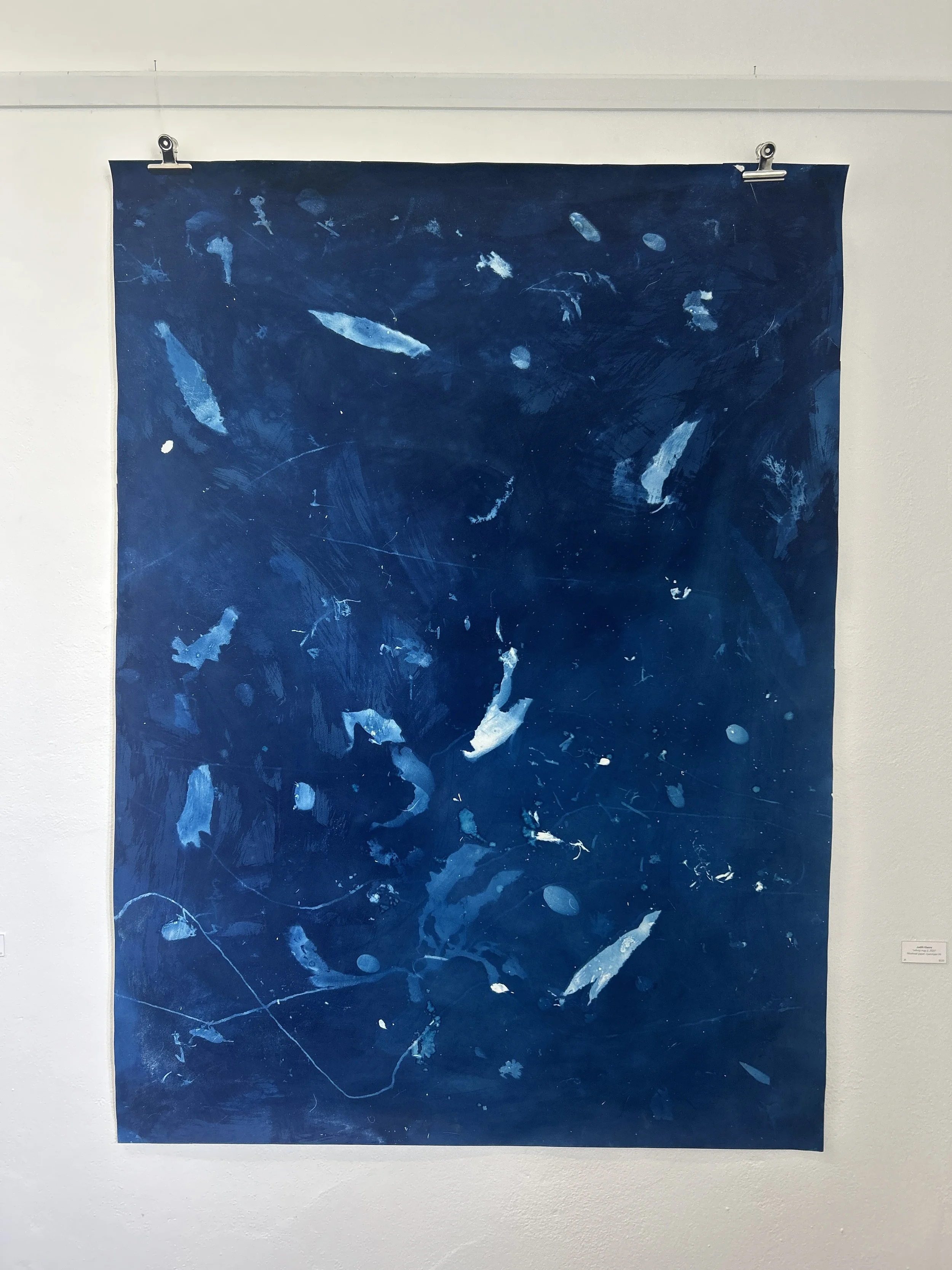 AiR exhibition, 2026, King Island Gallery, Currie