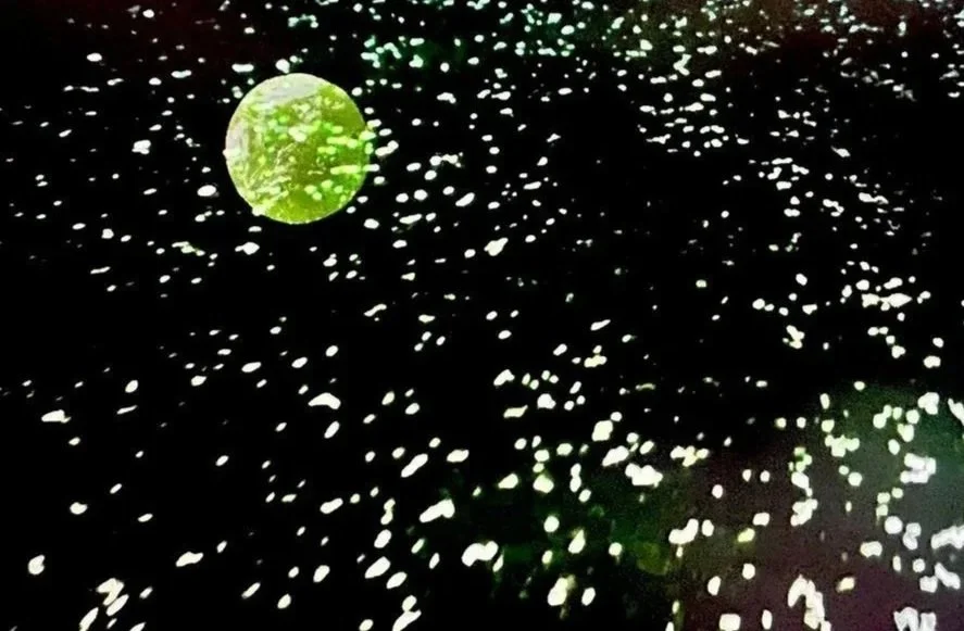3035_021050.jpg