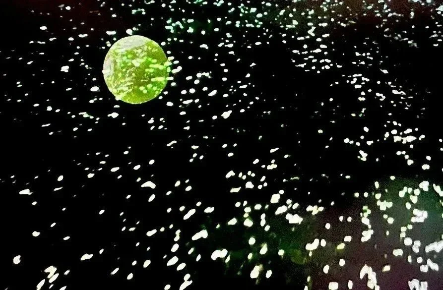 Judith Klavins, green moon rising, 2026, mp4 video 2 mins 59 secs