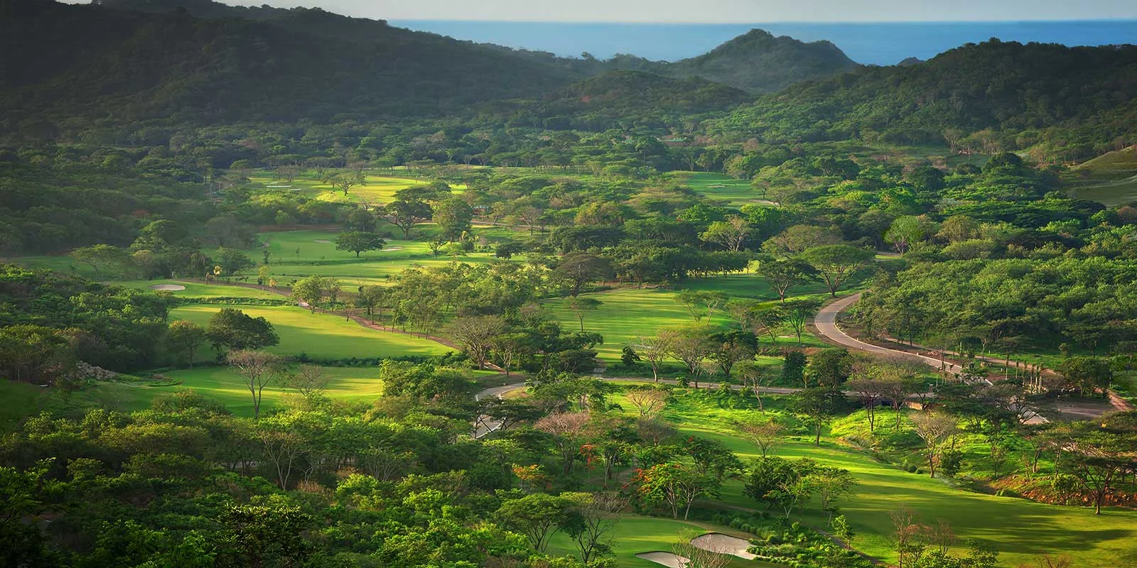 golf1_header.jpg