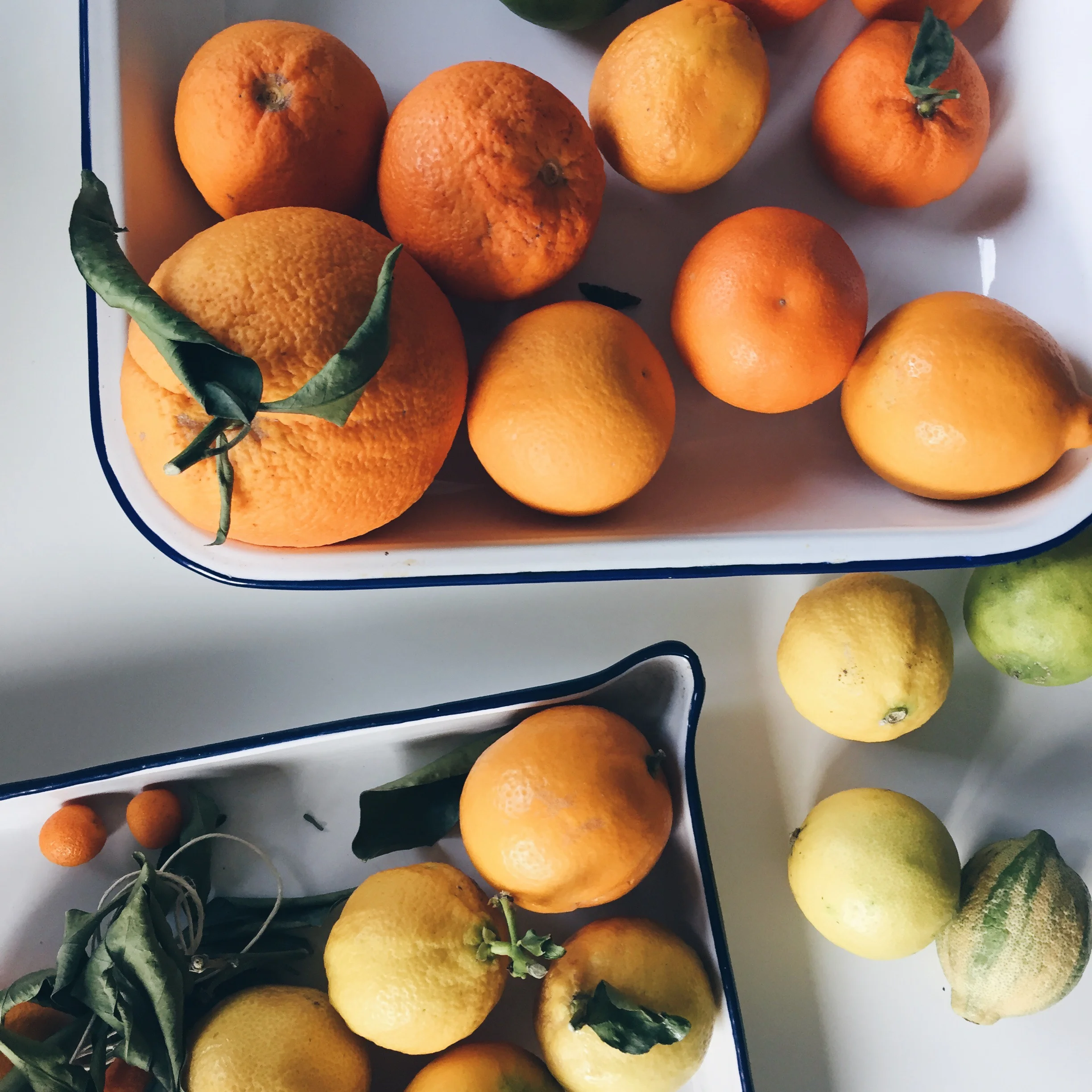Food Photography